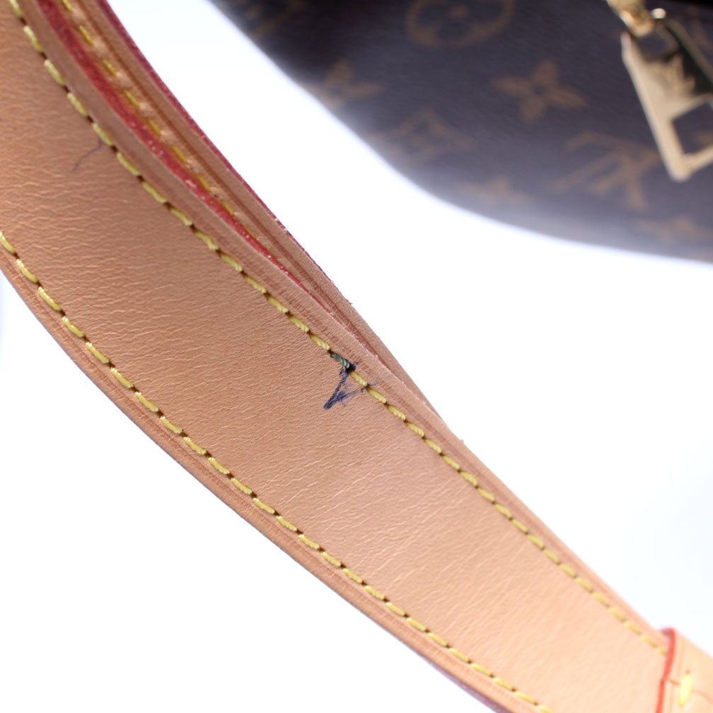 Louis Vuitton Bumbag Monogram