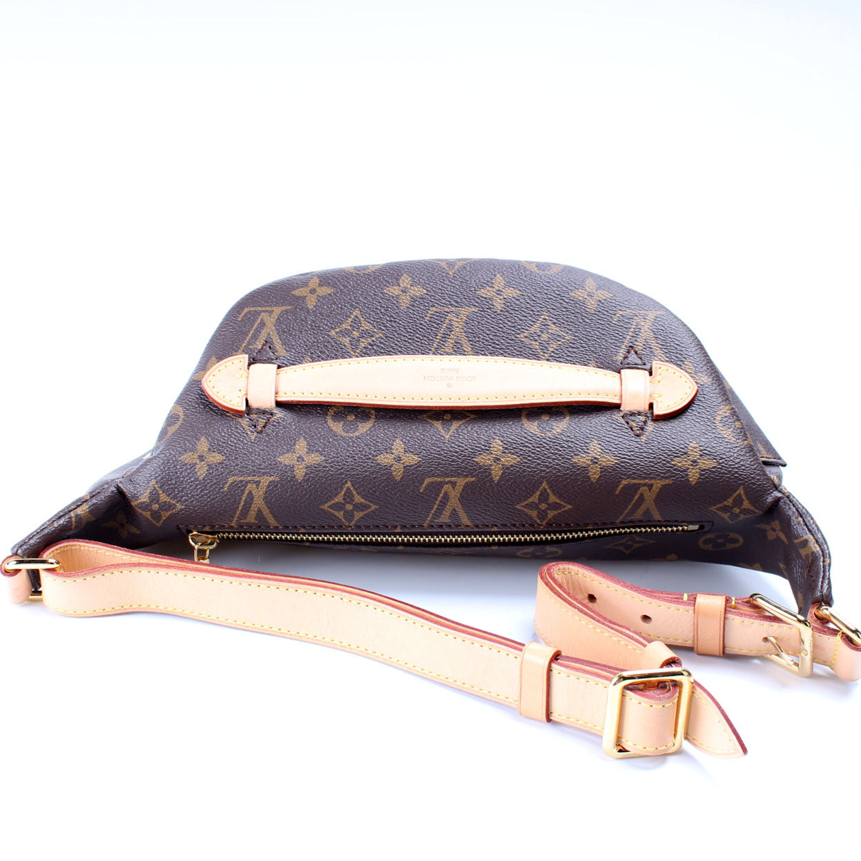 Louis Vuitton Bumbag Monogram