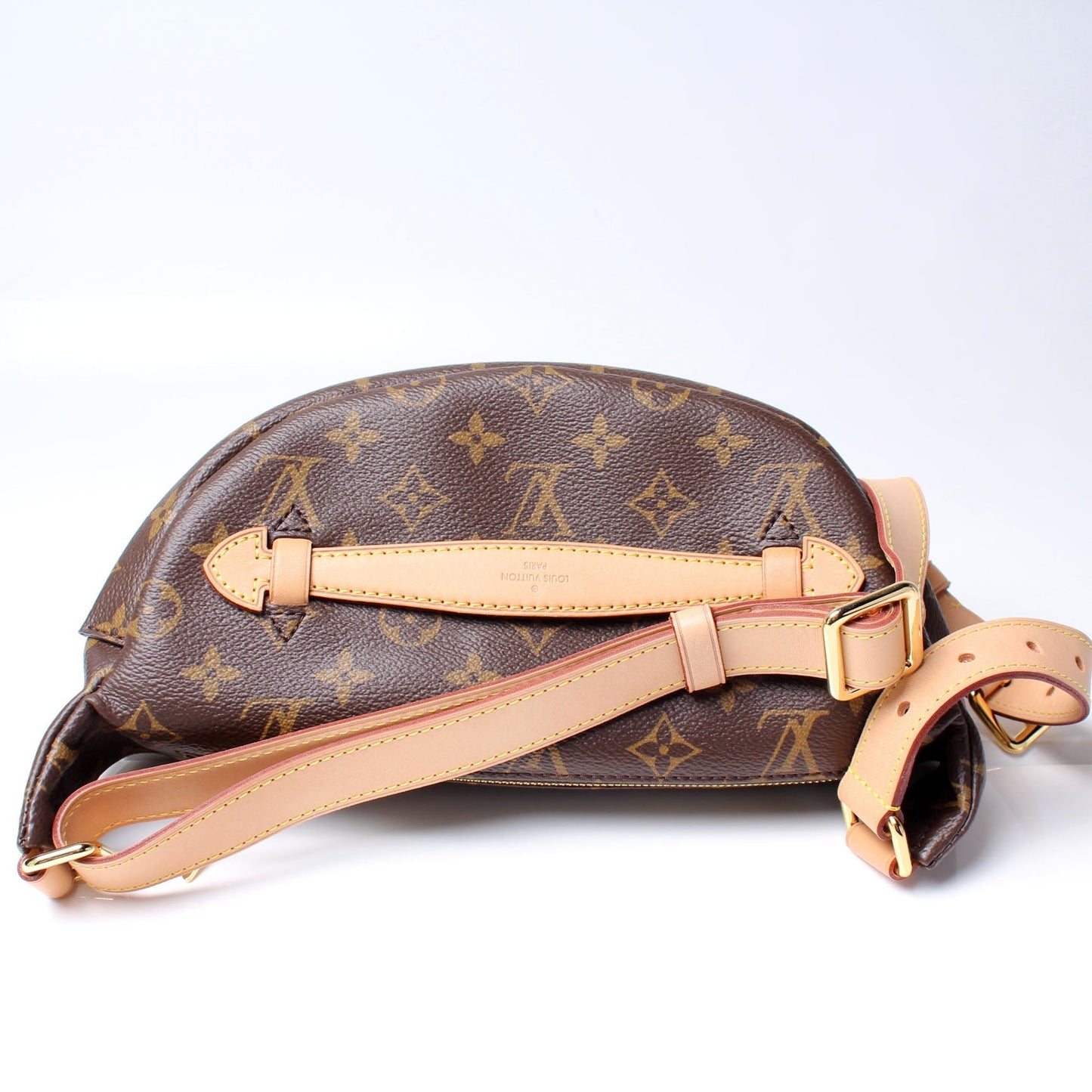 Louis Vuitton Bumbag Monogram