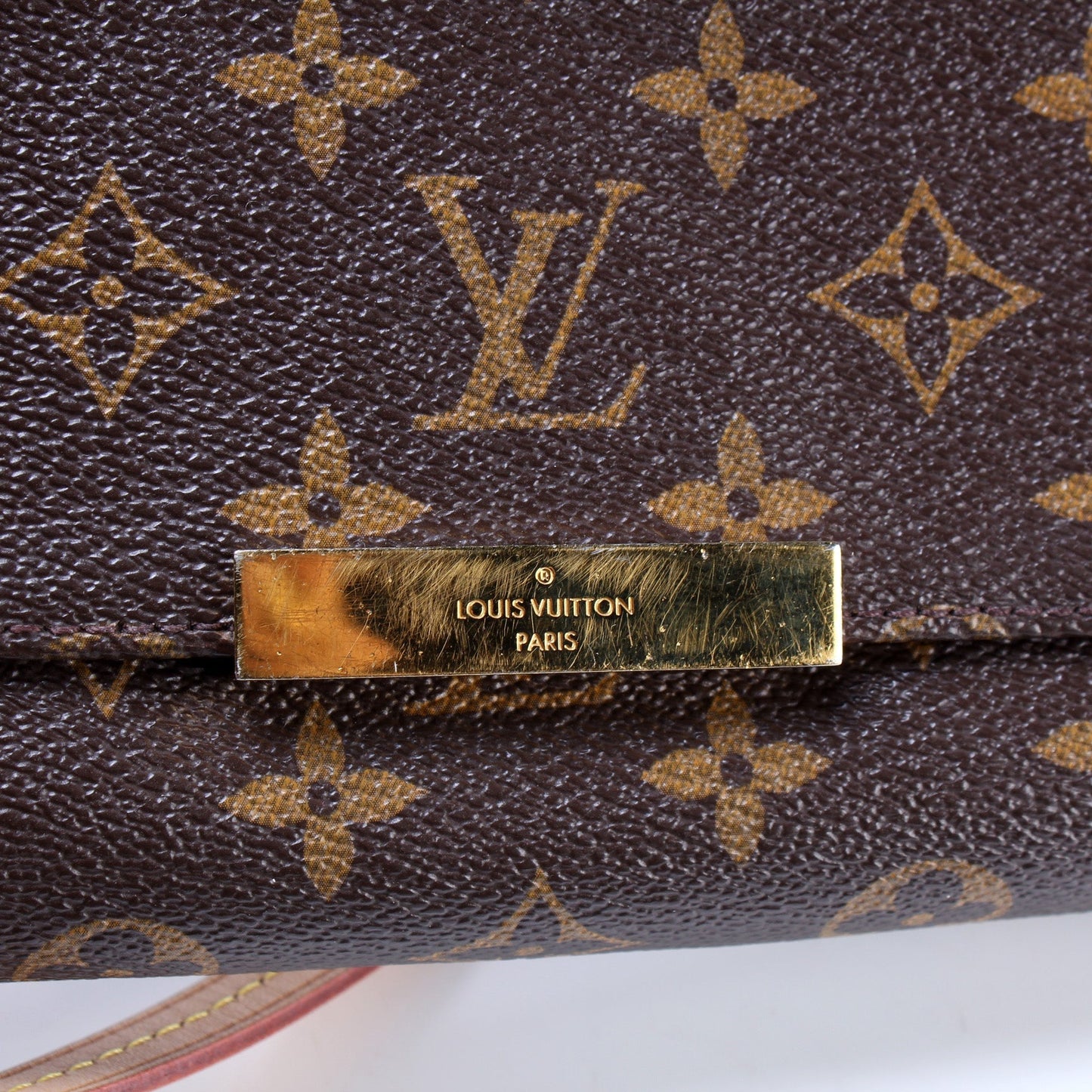 Louis Vuitton Favorite MM Monogram