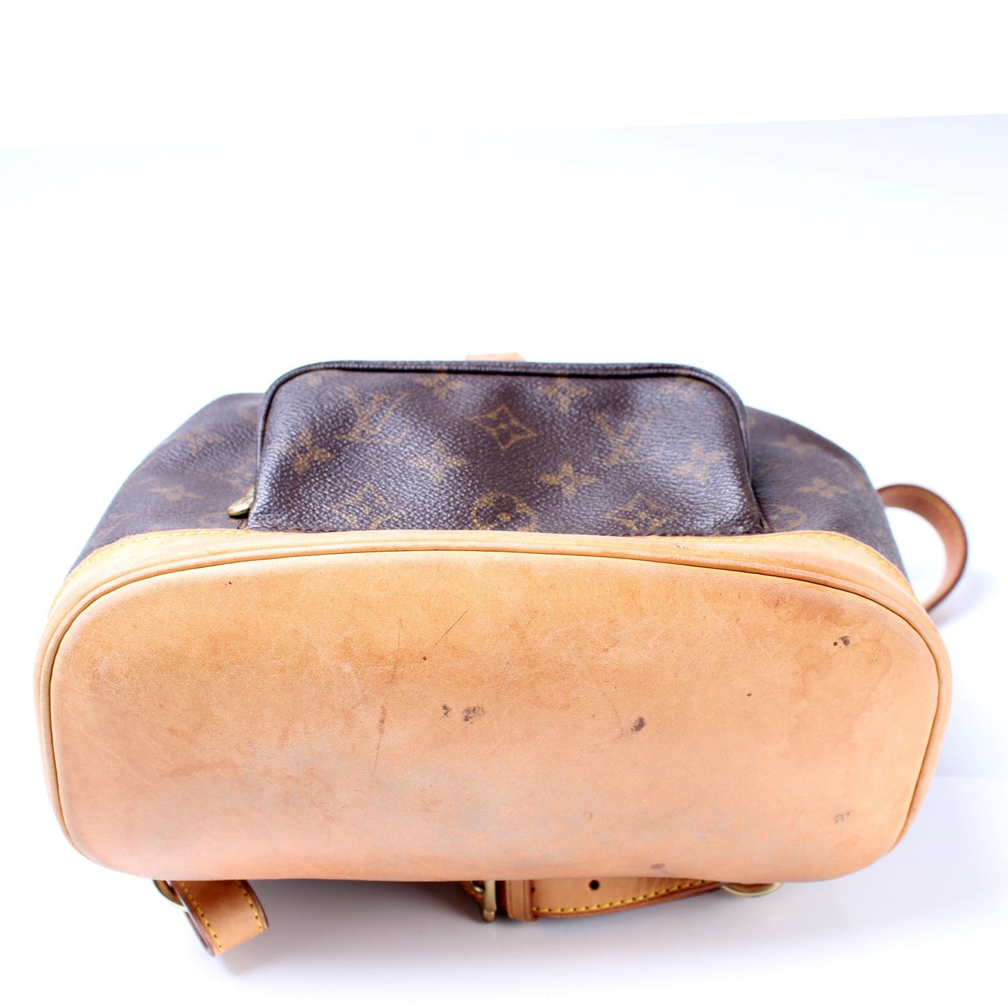 Louis Vuitton Montsouris PM Monogram