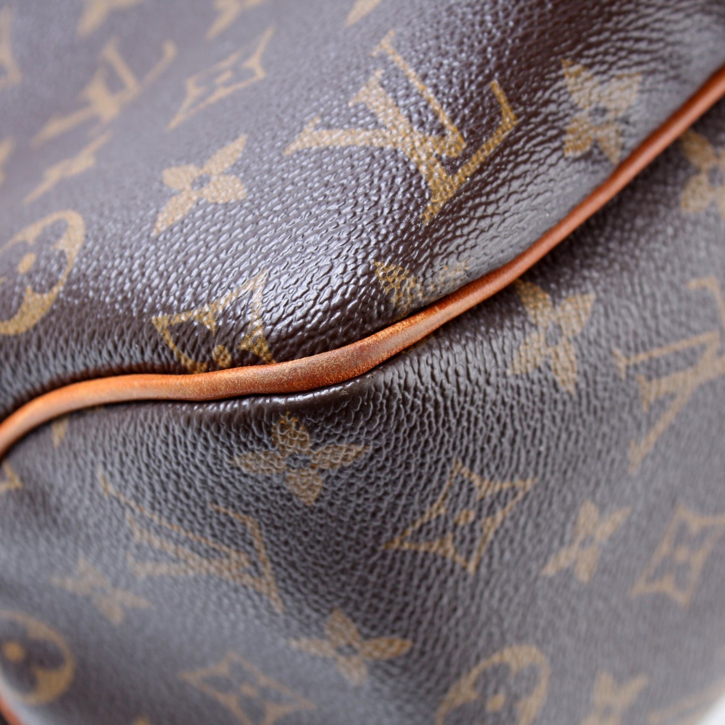 Louis Vuitton Delightful MM Monogram
