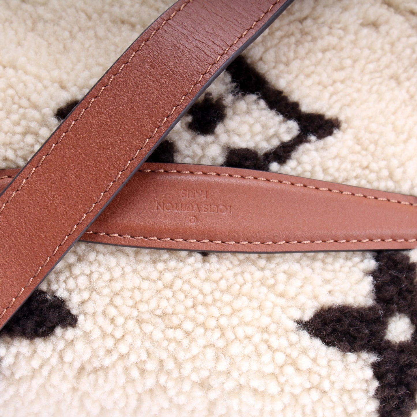 Louis Vuitton Bumbag Teddy Giant Monogram