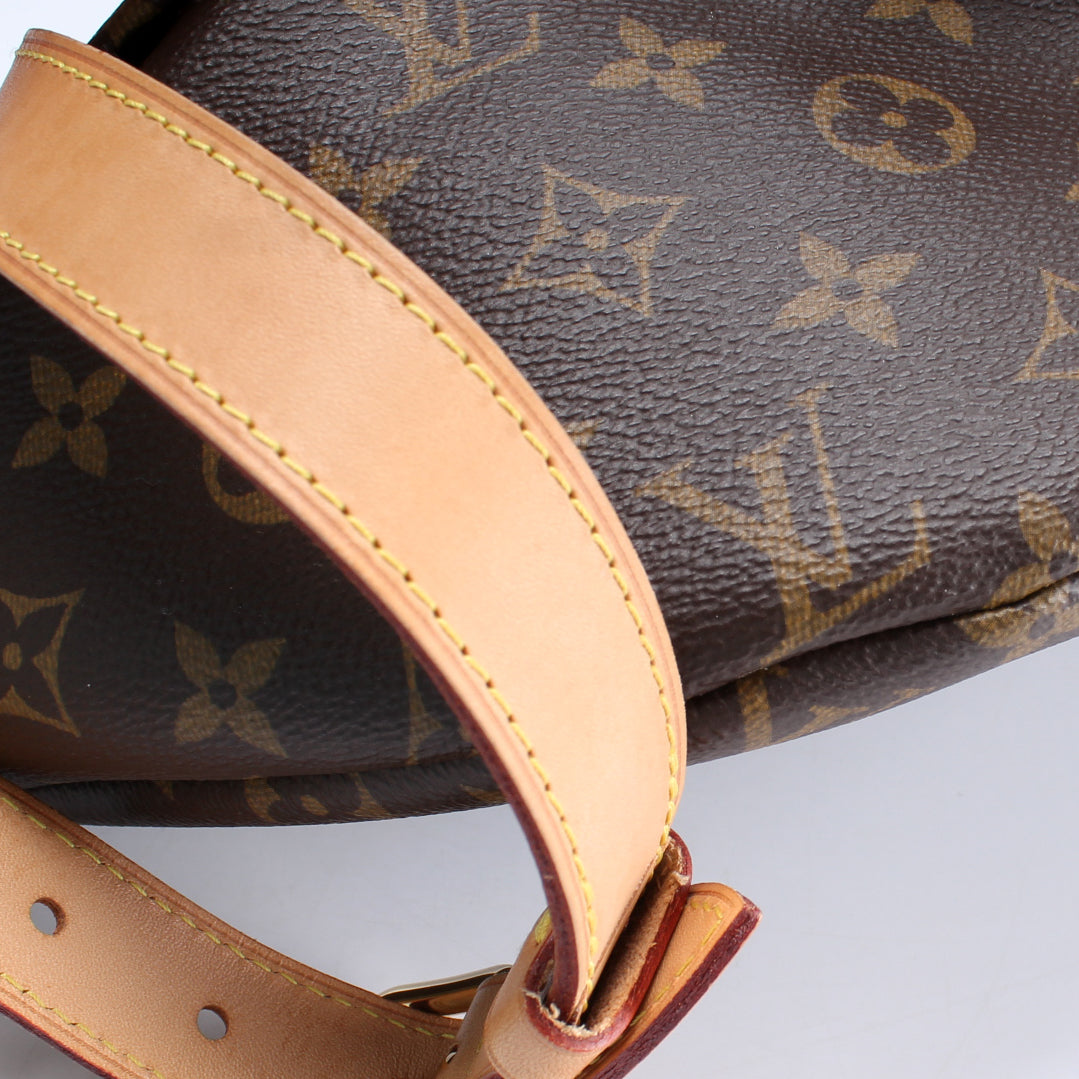 Louis Vuitton Bumbag Monogram