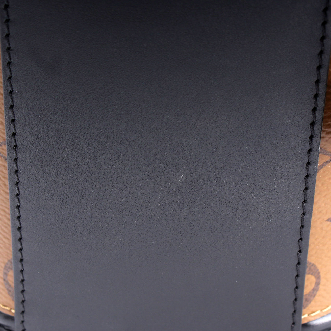 Louis Vuitton Cannes Reverse Monogram