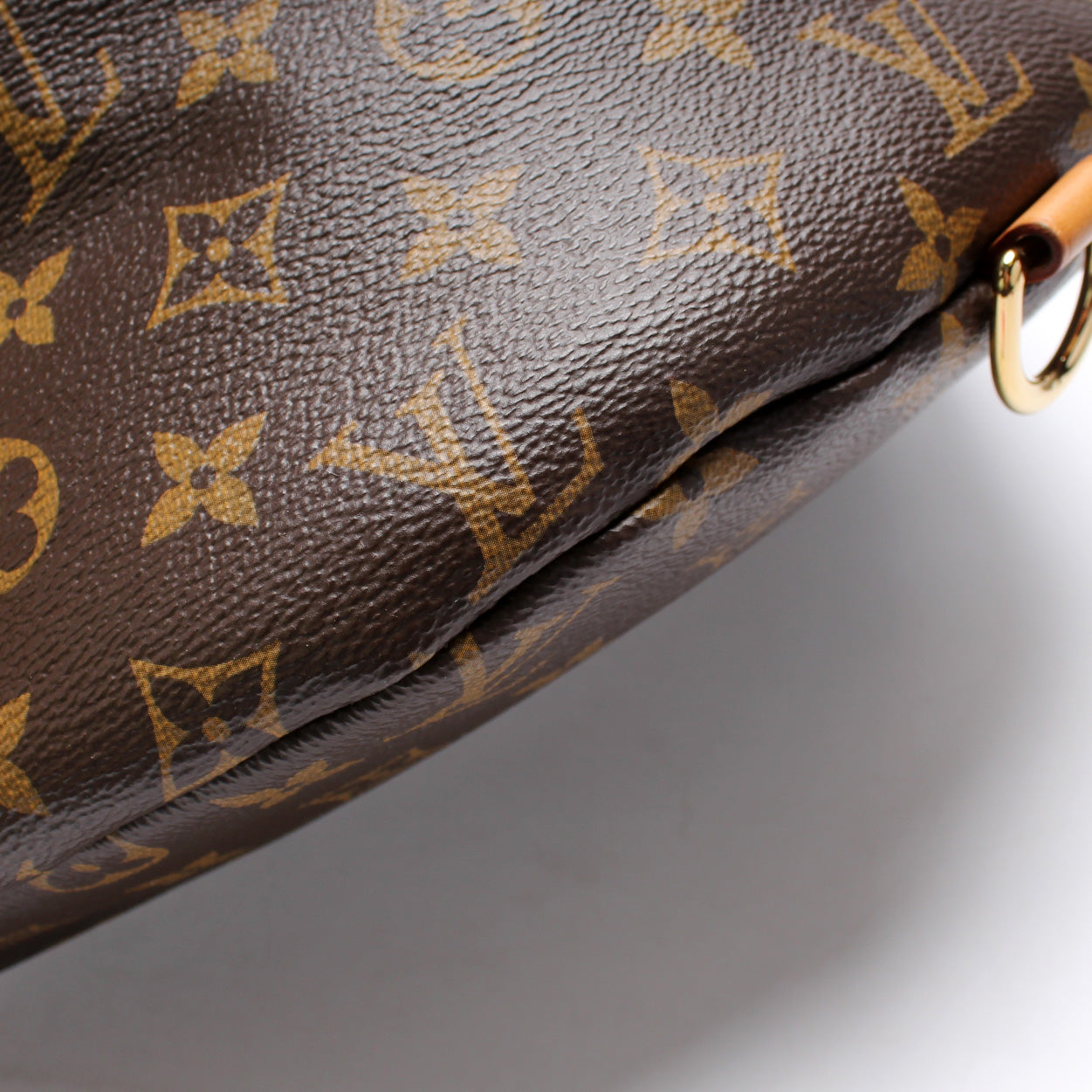 Louis Vuitton Bumbag Monogram