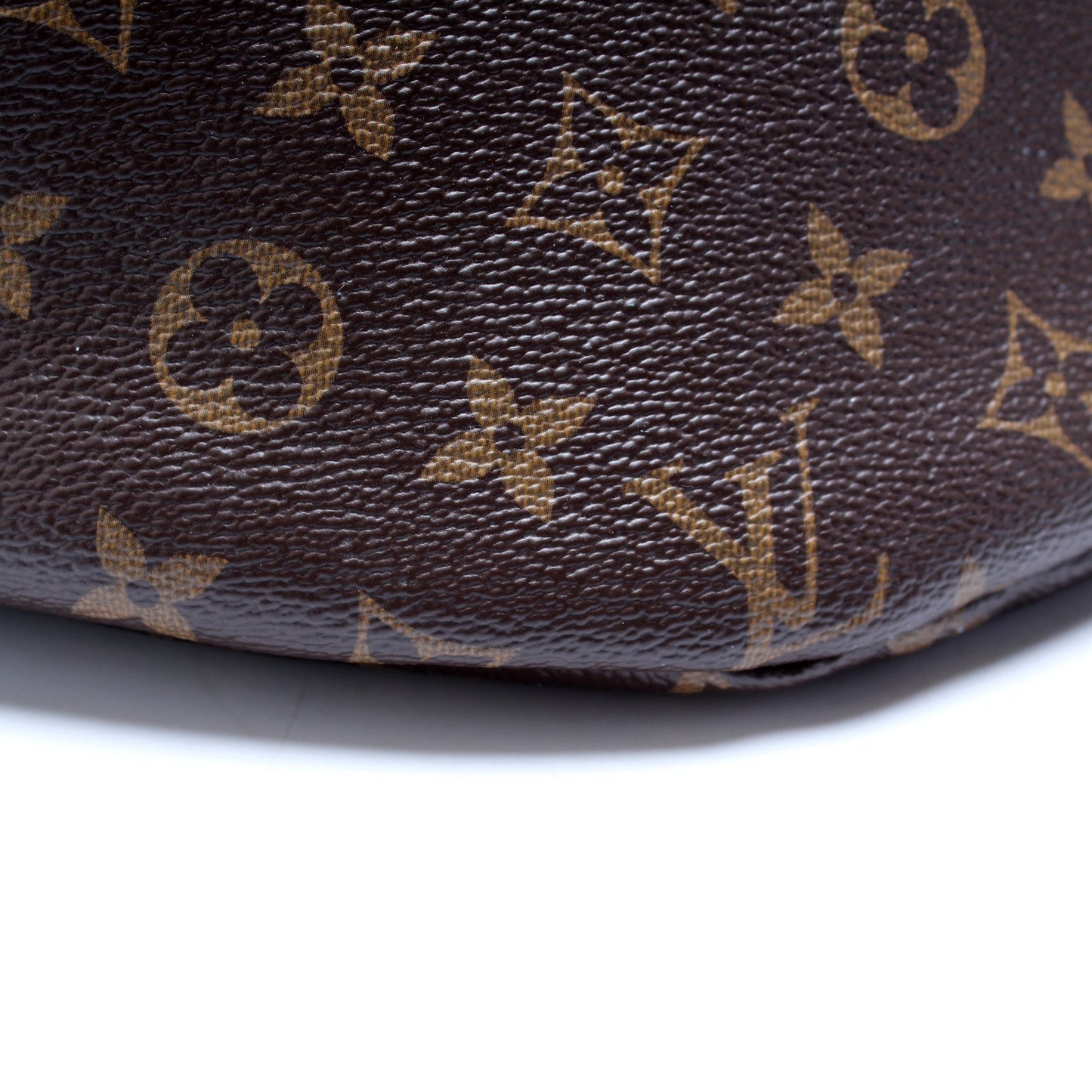 Louis Vuitton Bumbag Monogram