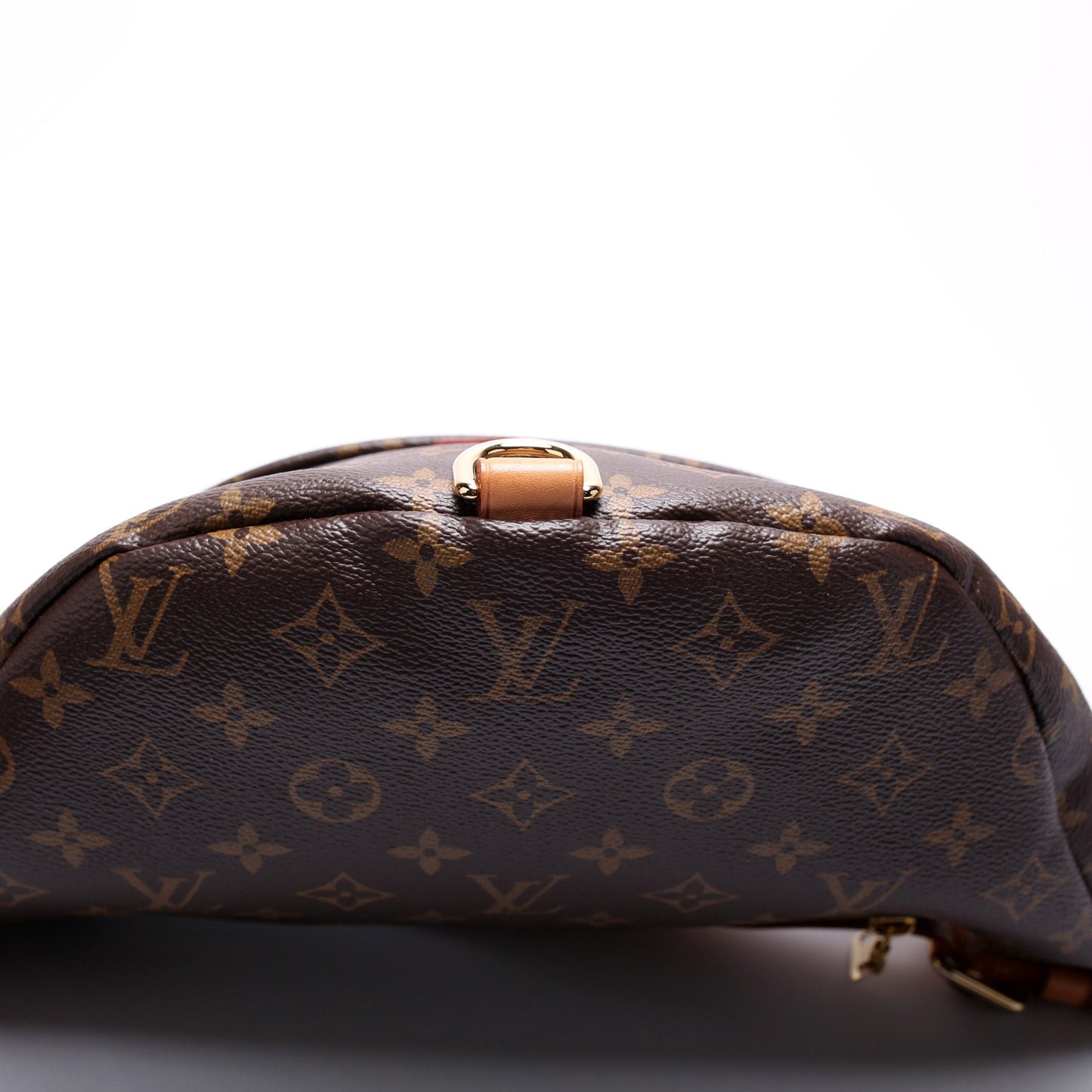 Louis Vuitton Bumbag Monogram 2018+