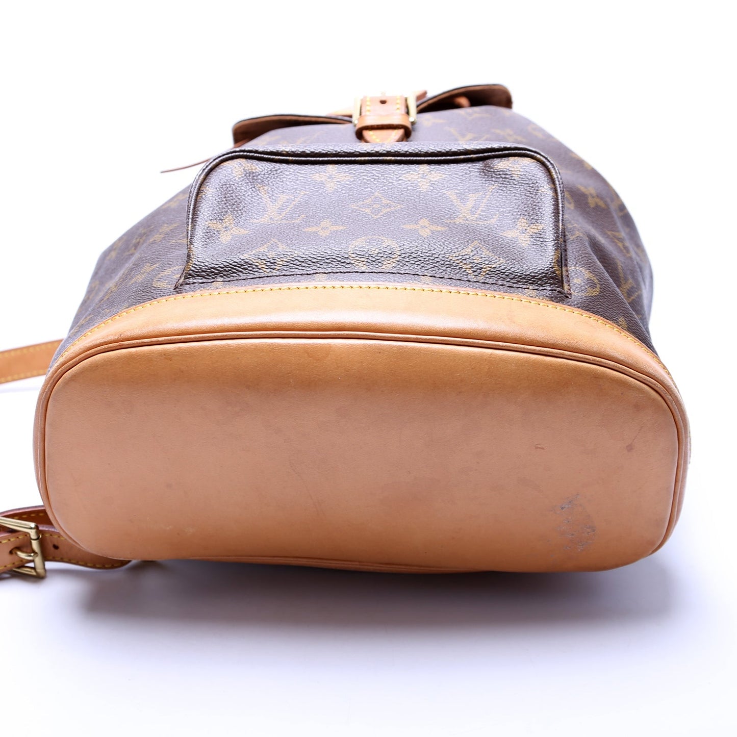 Louis Vuitton Montsouris MM Monogram