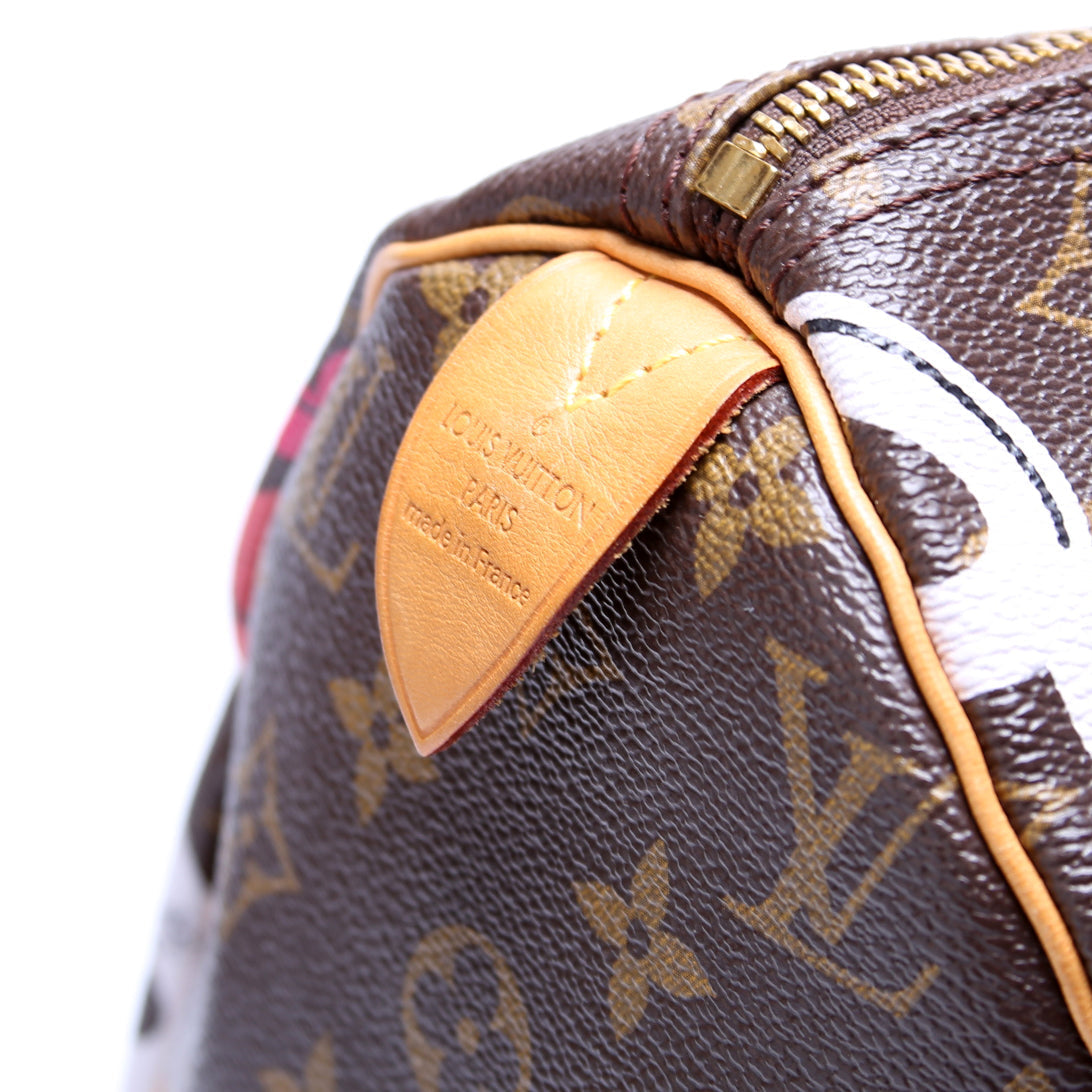 Louis Vuitton Speedy 30 Bay Monogram