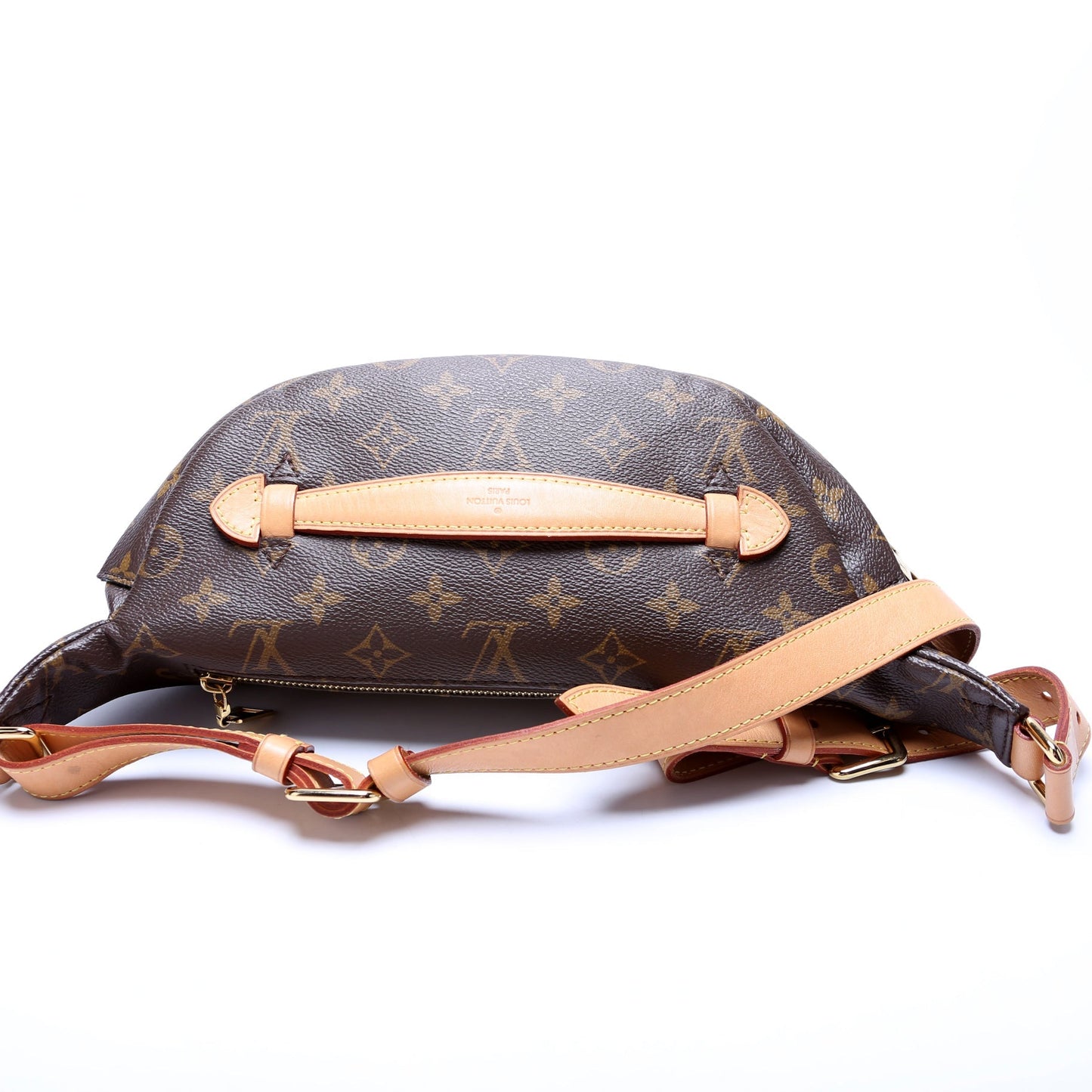 Louis Vuitton Bumbag Monogram