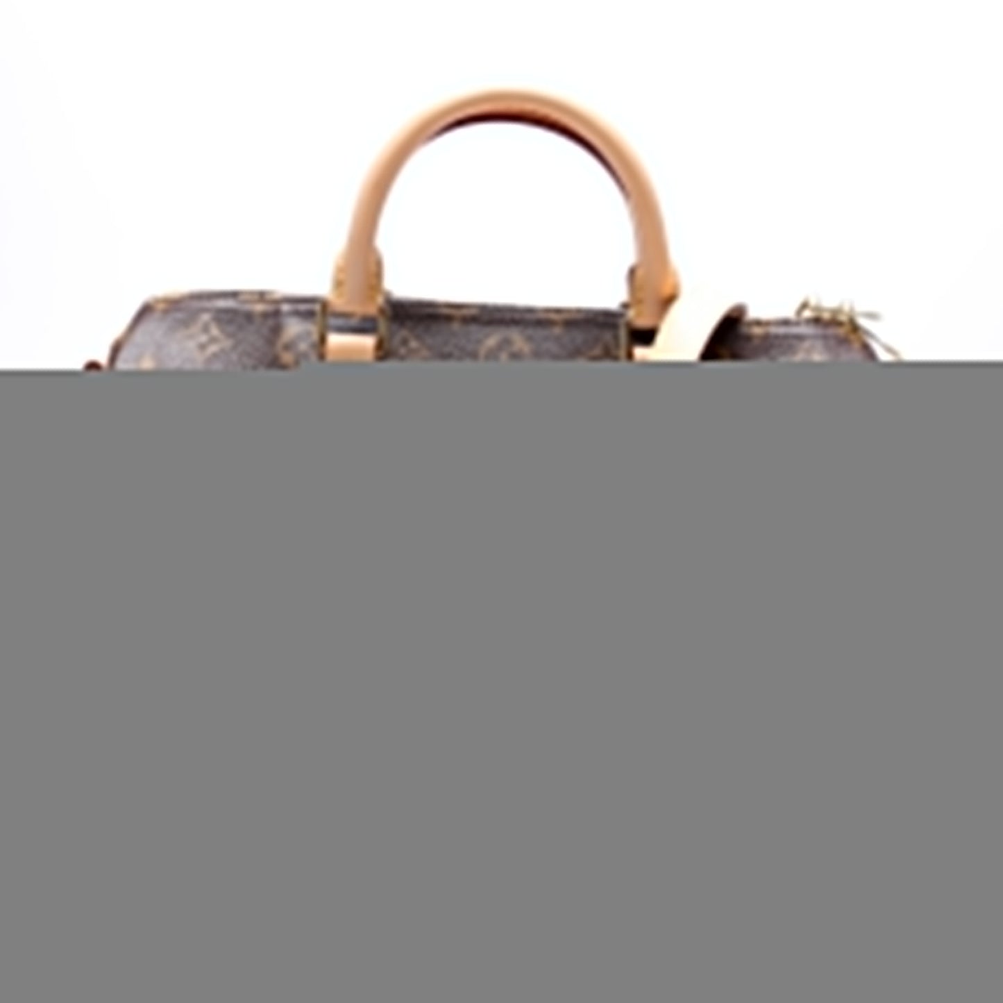 Louis Vuitton Speedy 30 Bandouliere Monogram