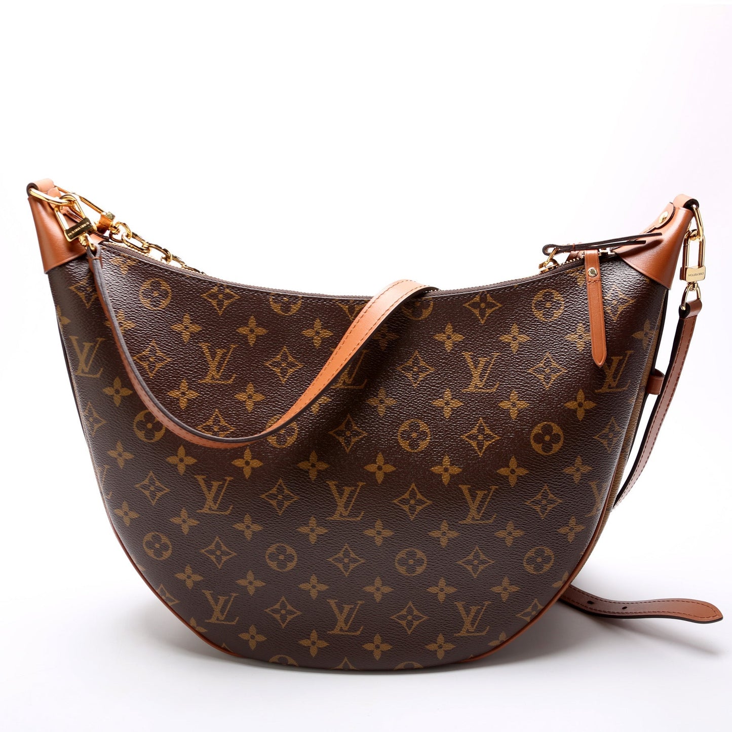 Louis Vuitton Loop Hobo Reverse Monogram