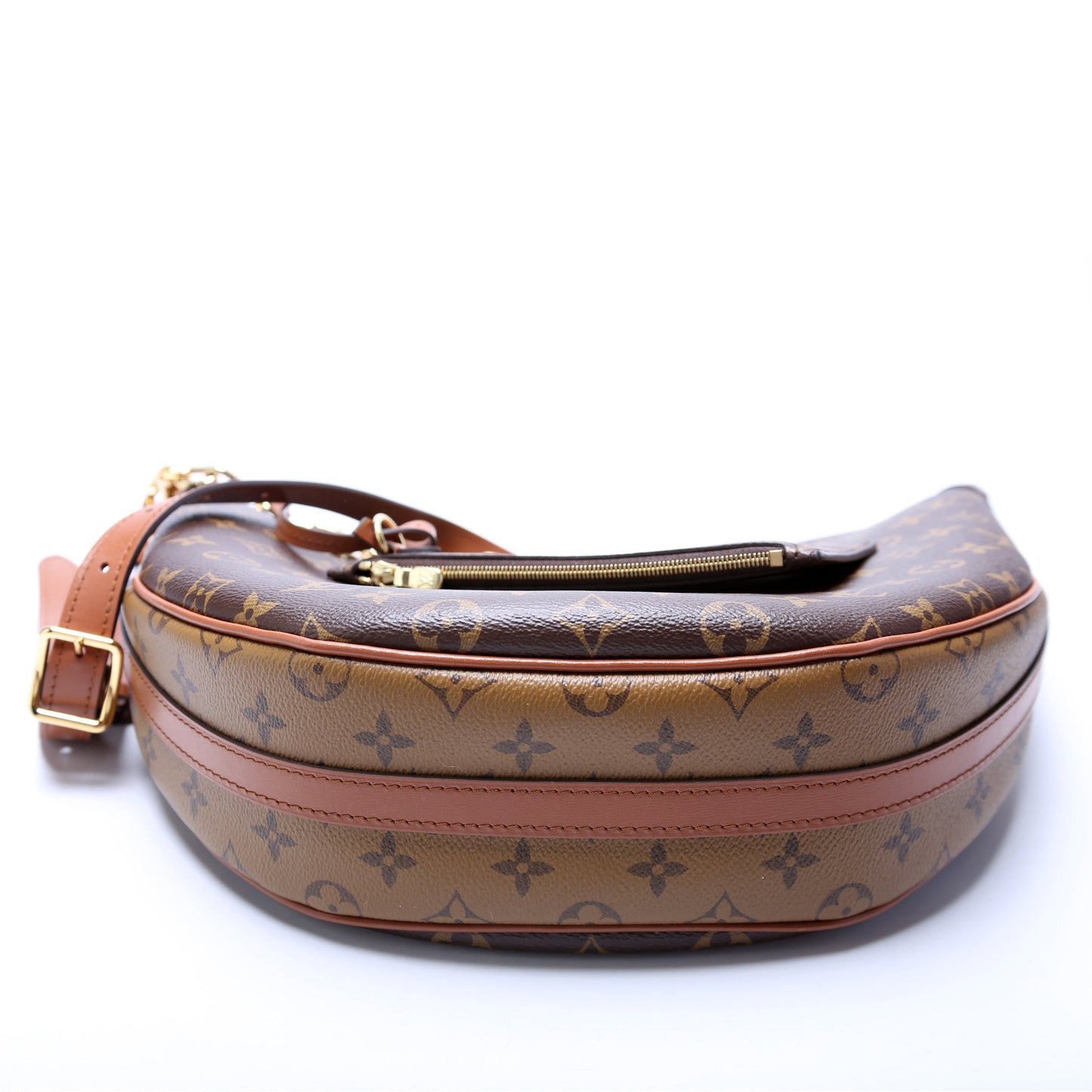 Louis Vuitton Loop Hobo Reverse Monogram