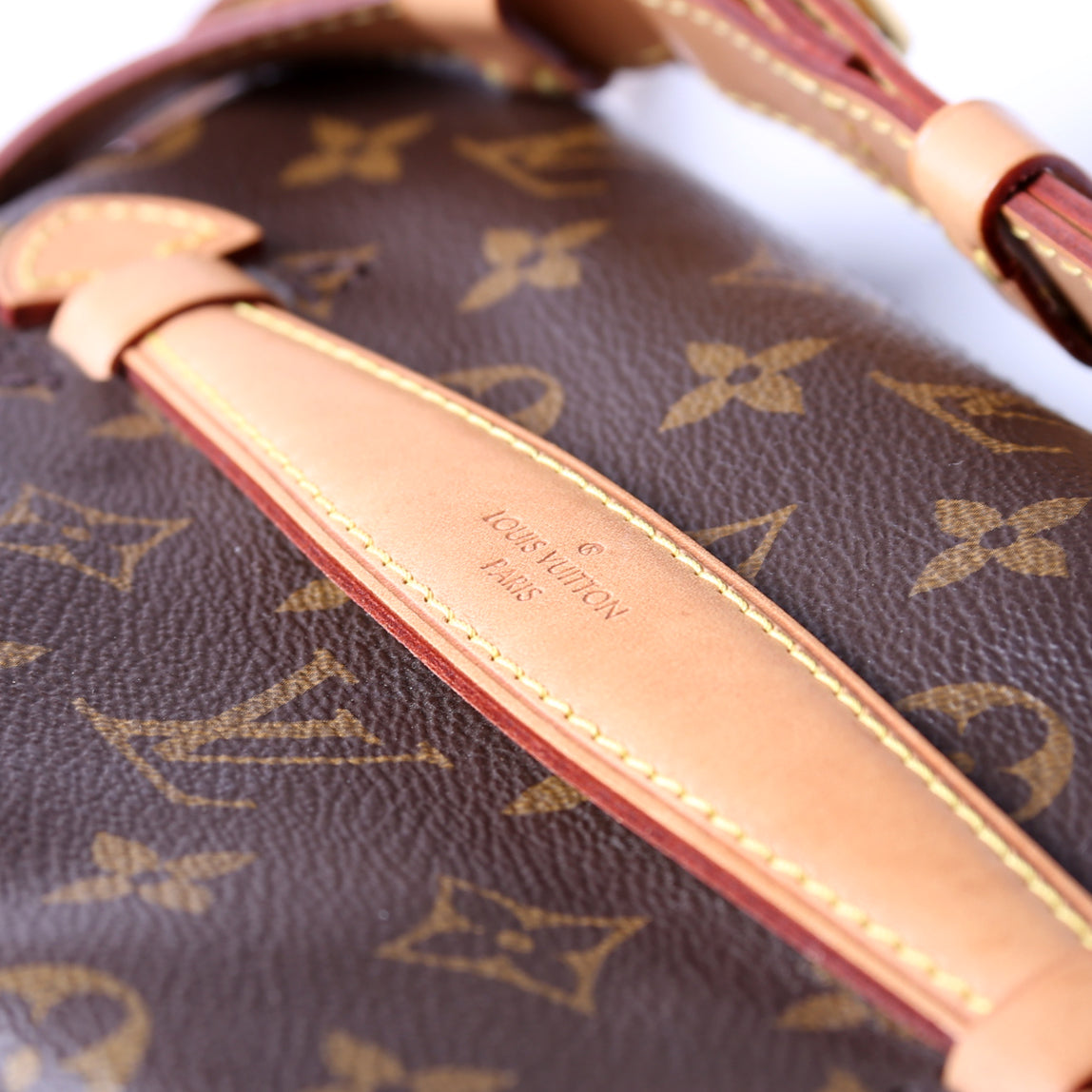Louis Vuitton Bumbag Monogram