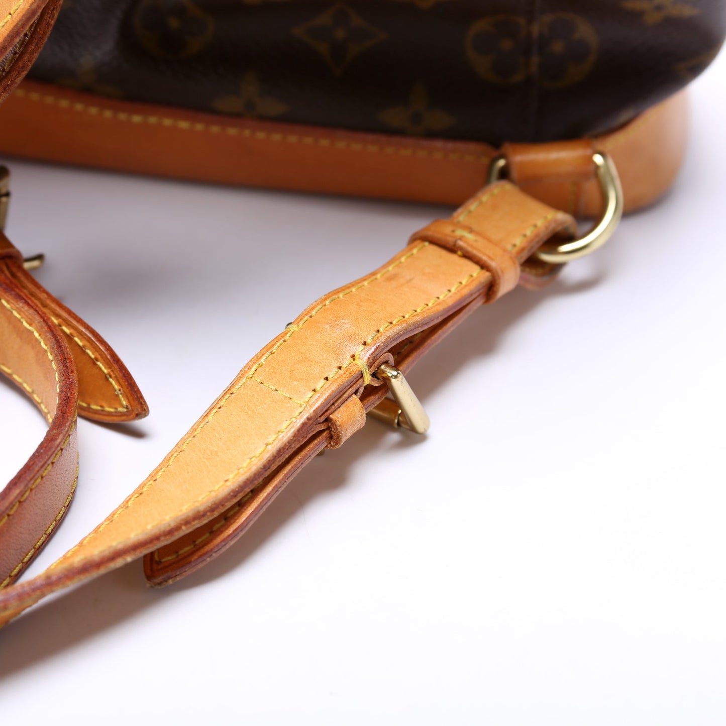 Louis Vuitton Montsouris MM Monogram