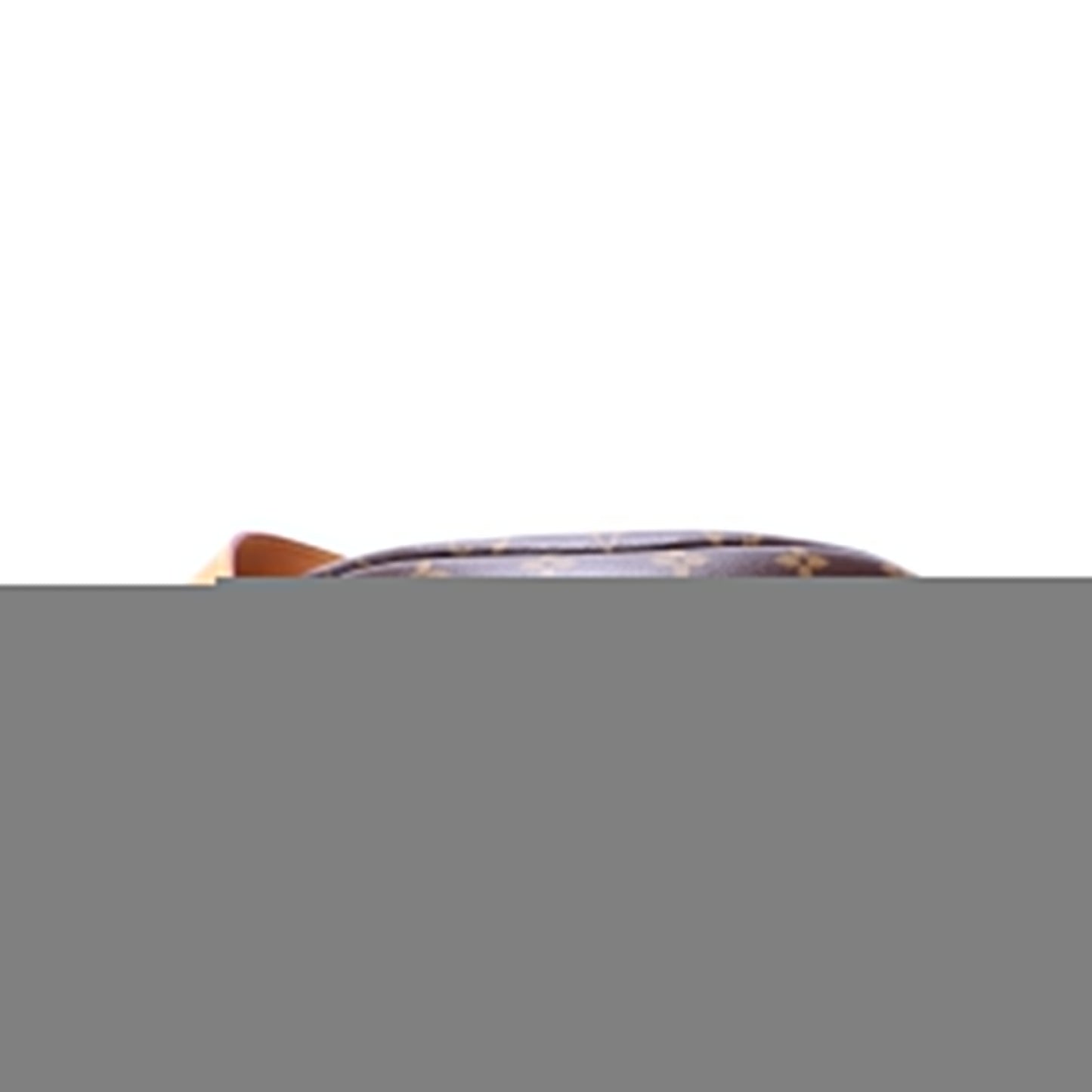 Louis Vuitton Bumbag Monogram