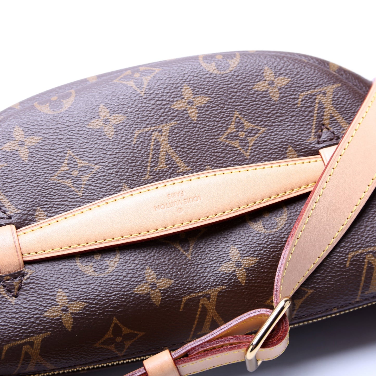 Louis Vuitton Bumbag Monogram 2020
