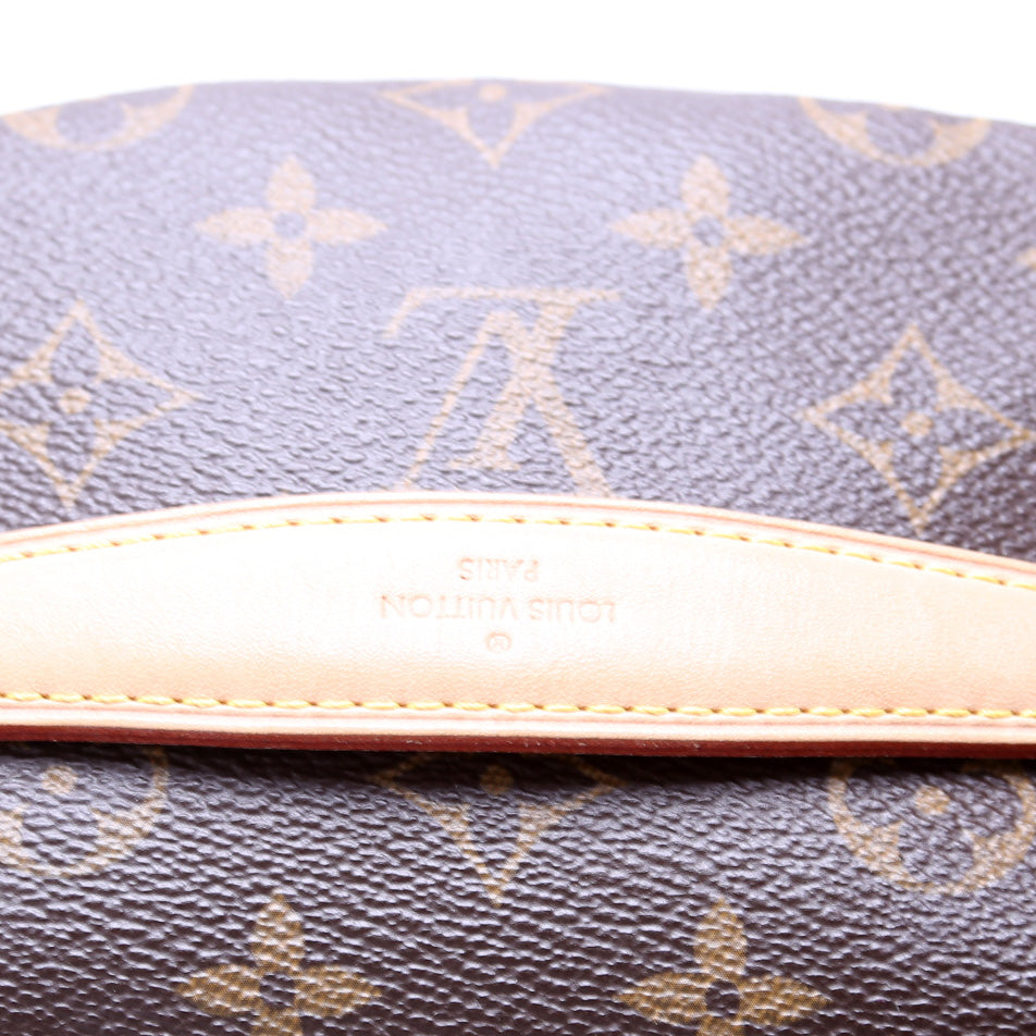Louis Vuitton Bumbag Monogram 2021+