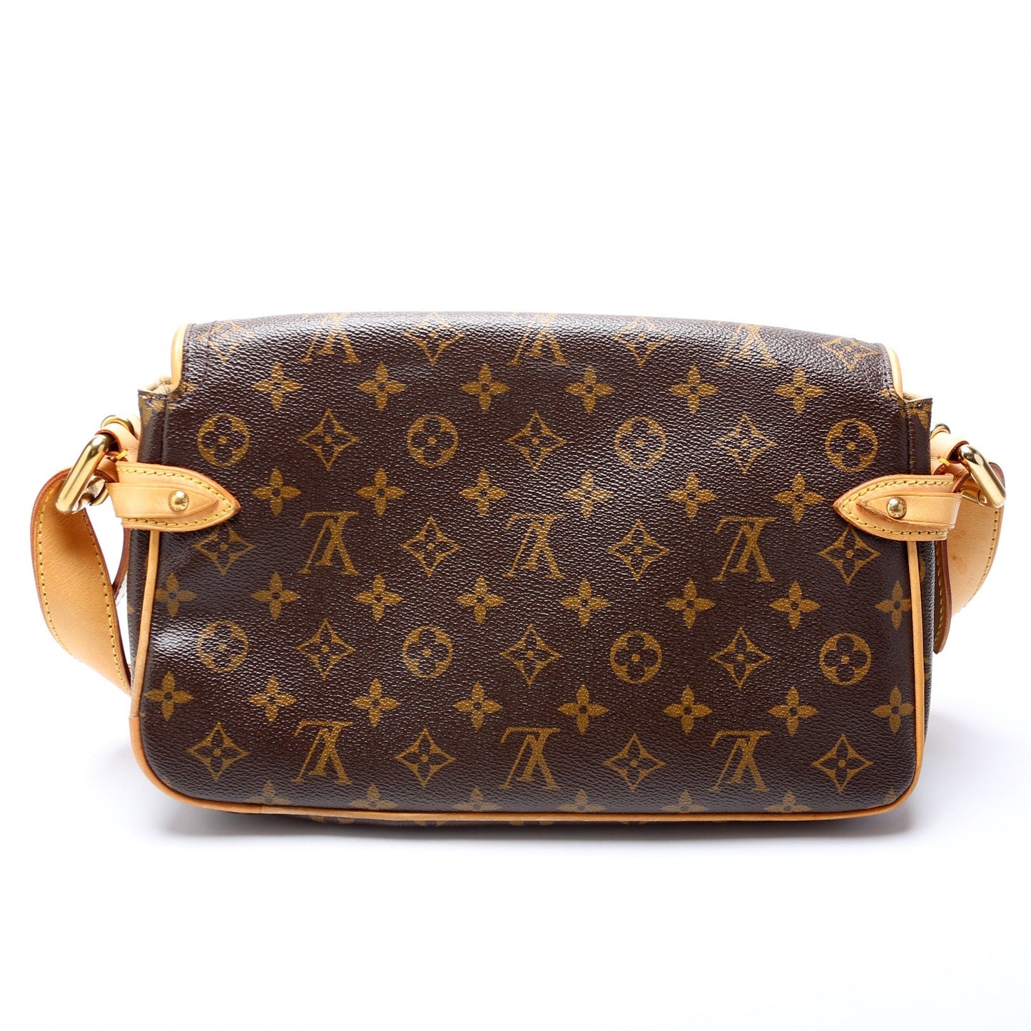 Louis Vuitton Hudson PM Monogram