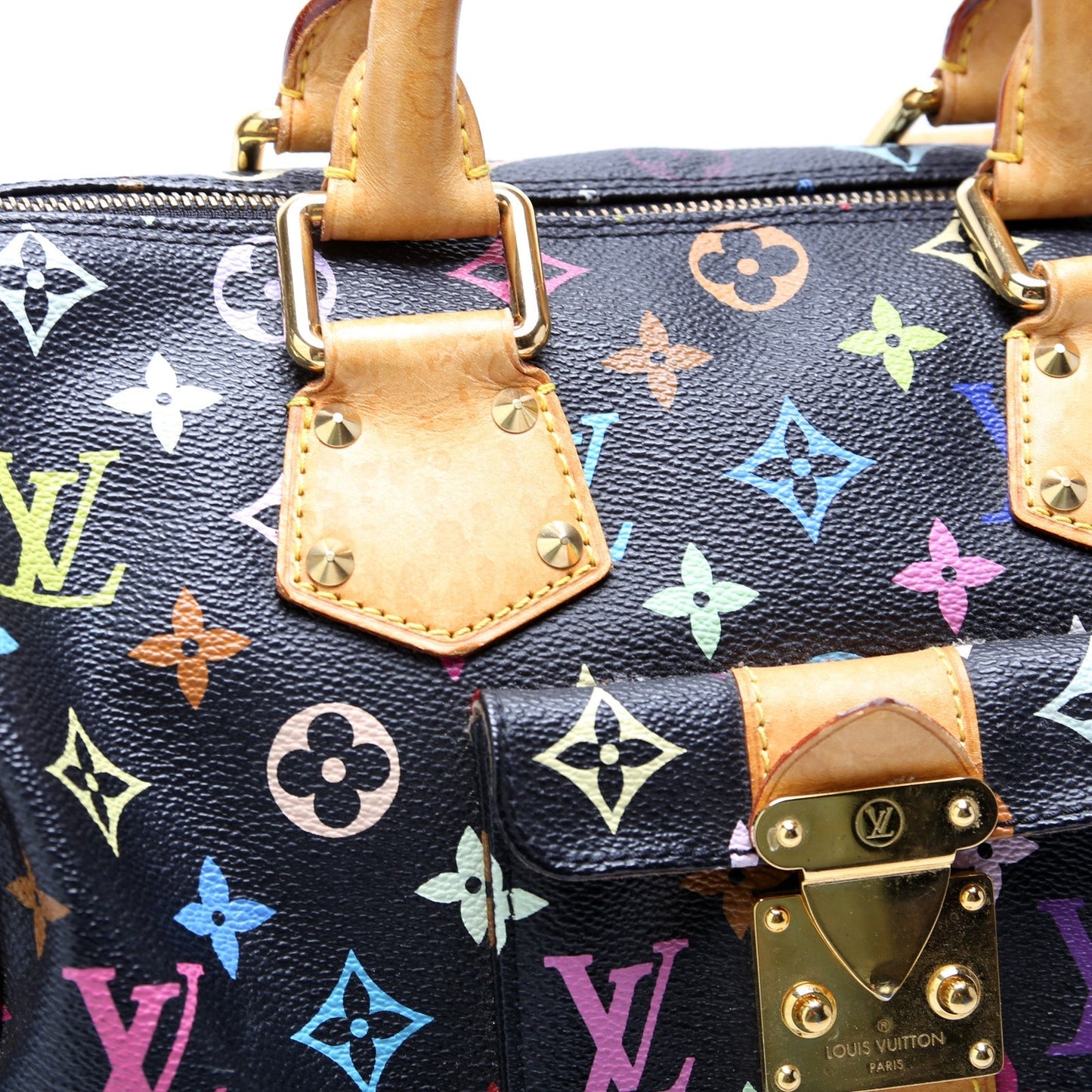 Louis Vuitton Speedy 30 Multicolor