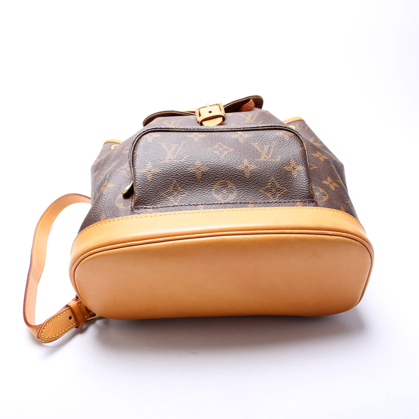 Louis Vuitton Montsouris MM Monogram
