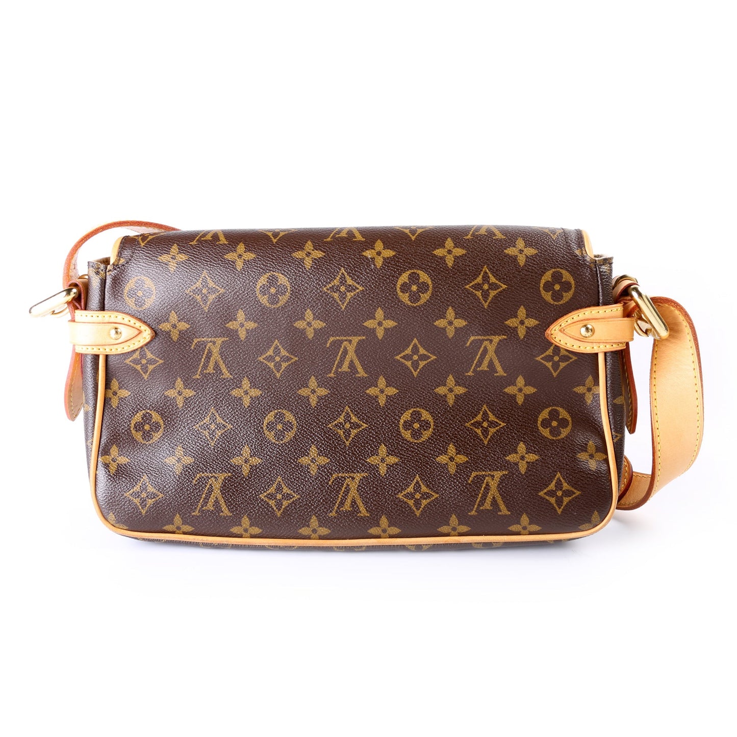 Louis Vuitton Hudson PM Monogram