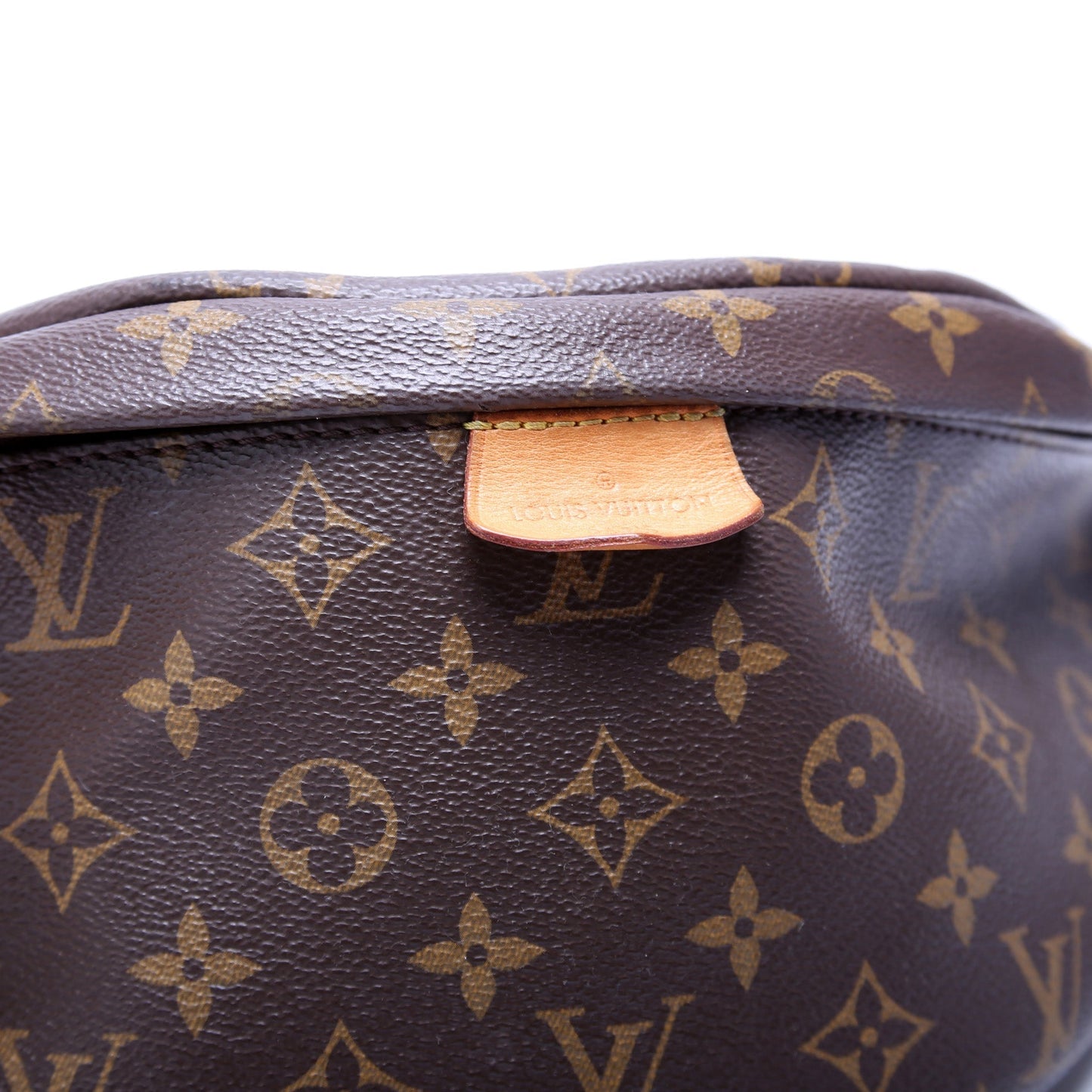 Louis Vuitton Bumbag Monogram