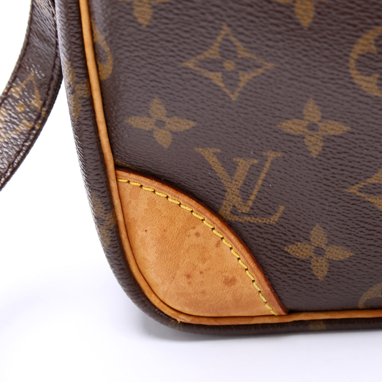 Louis Vuitton Danube Monogram