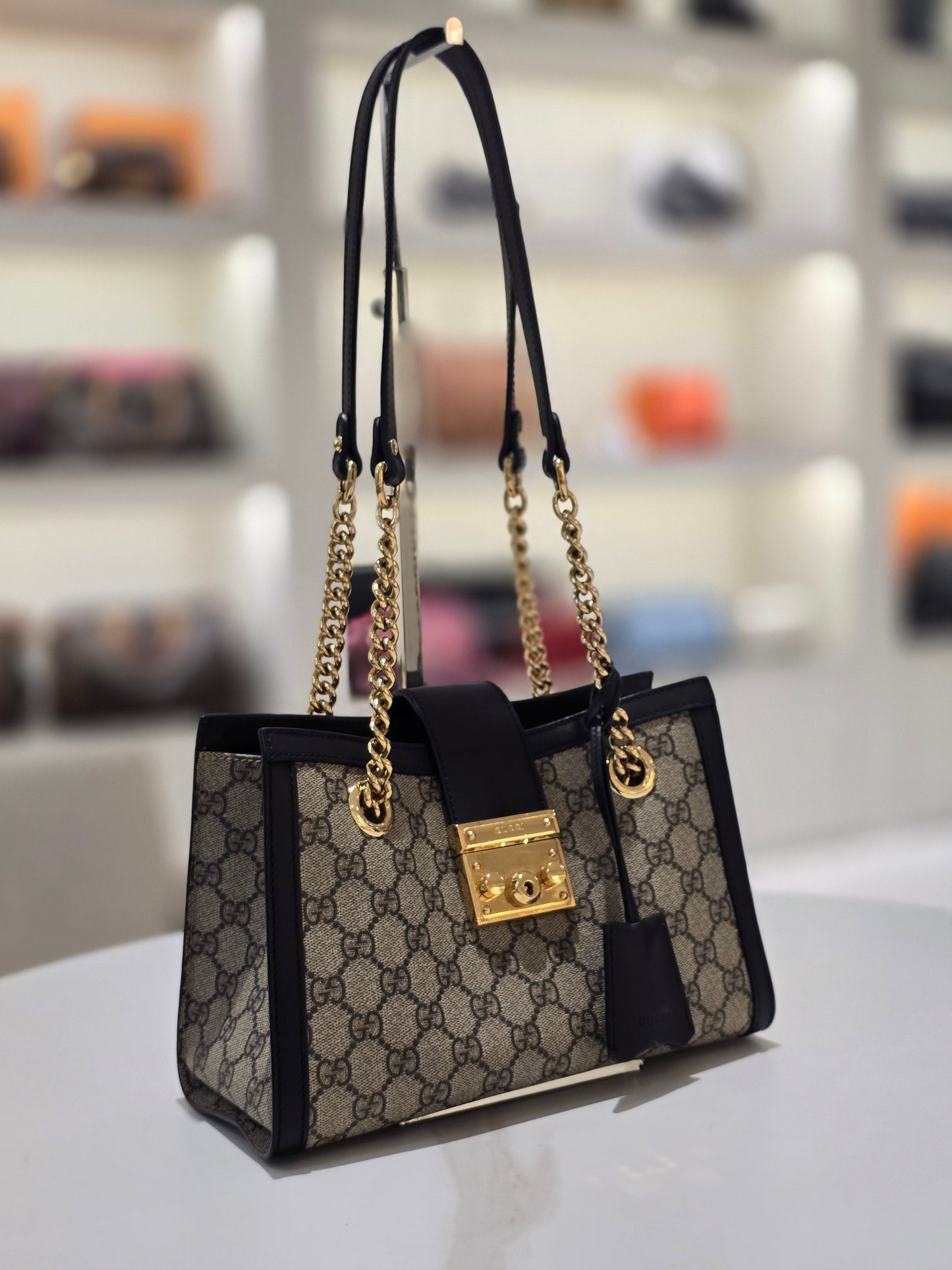Gucci Canvas Shoulder Bag