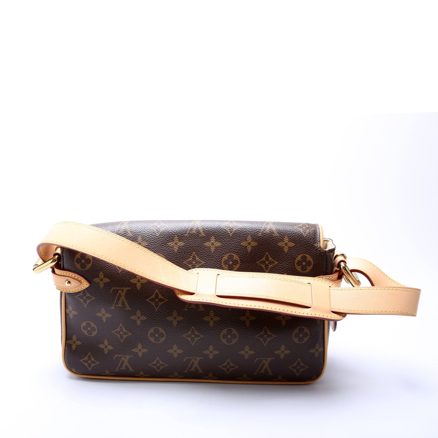 Louis Vuitton Hudson PM Monogram