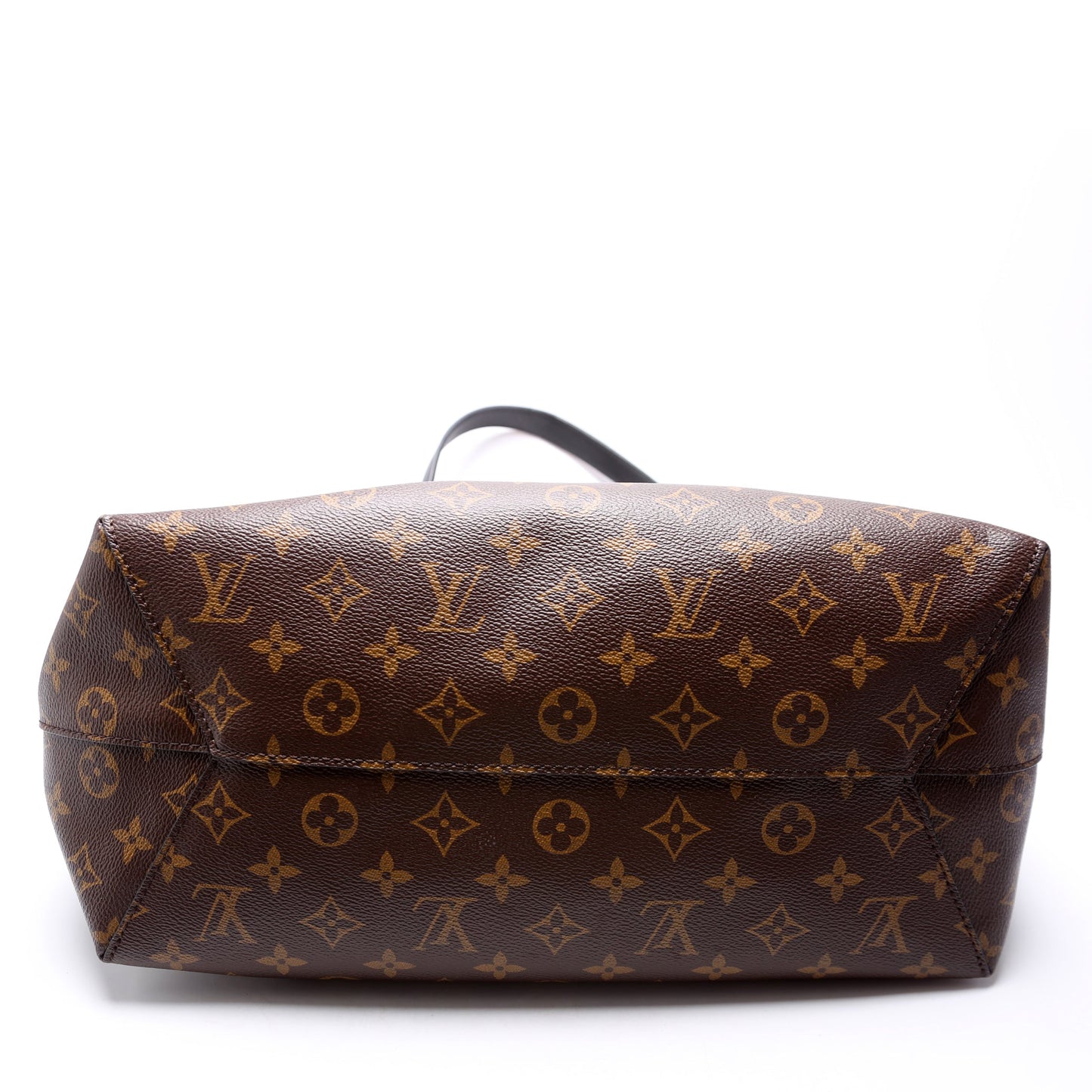 Louis Vuitton Flower Hobo Monogram Black