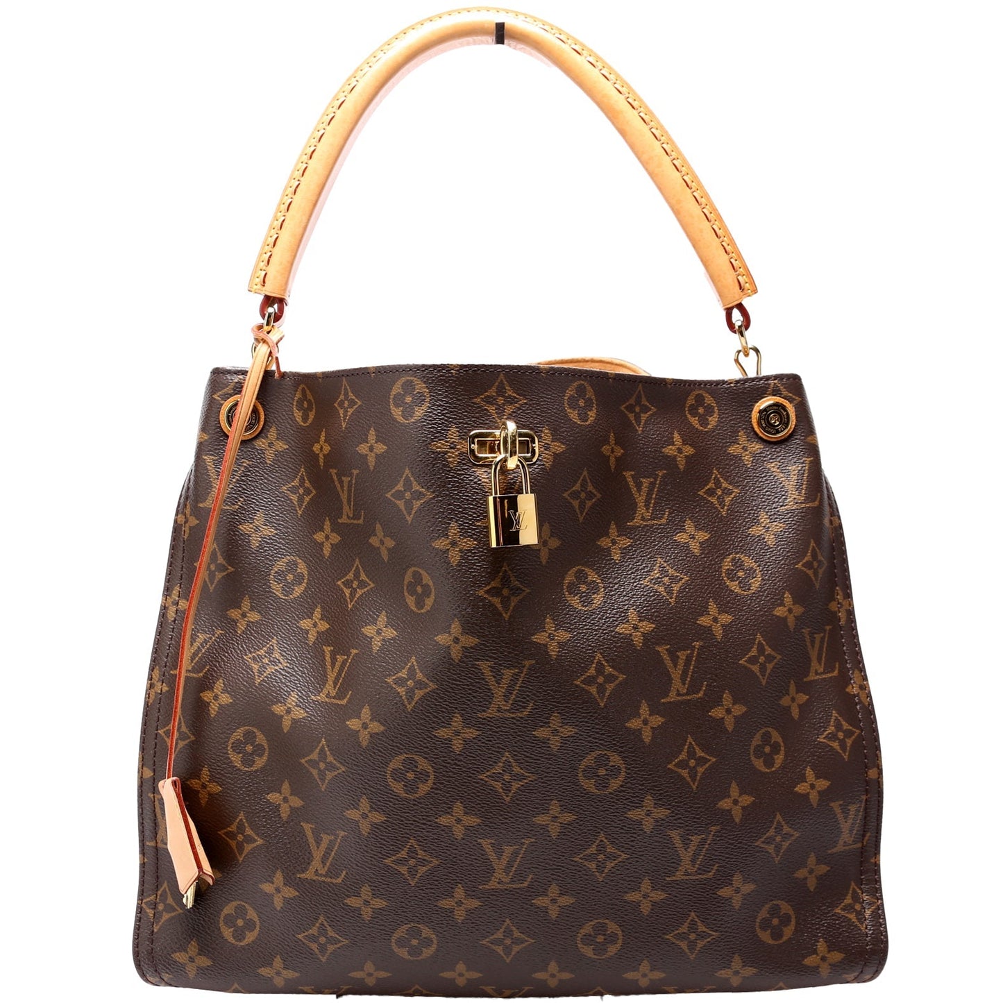 Louis Vuitton Gaia Monogram