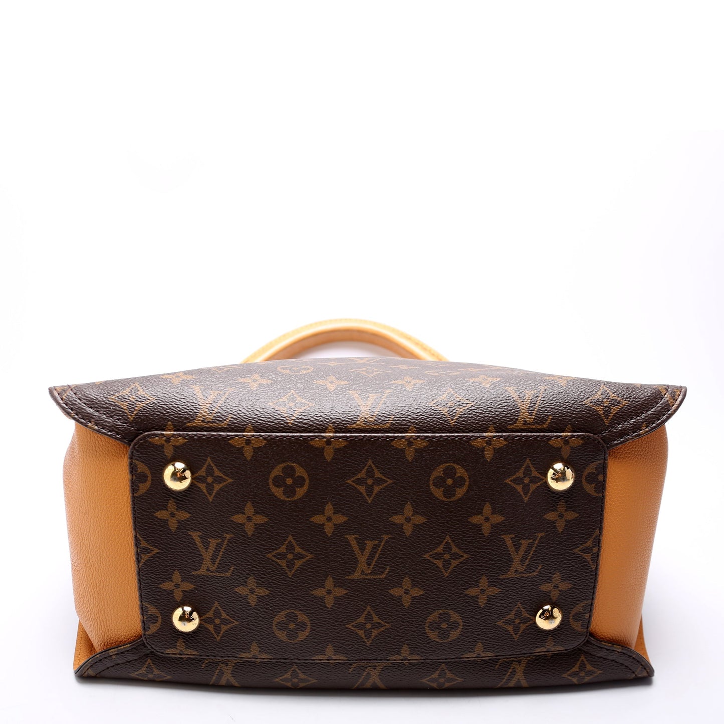 Louis Vuitton Gaia Monogram