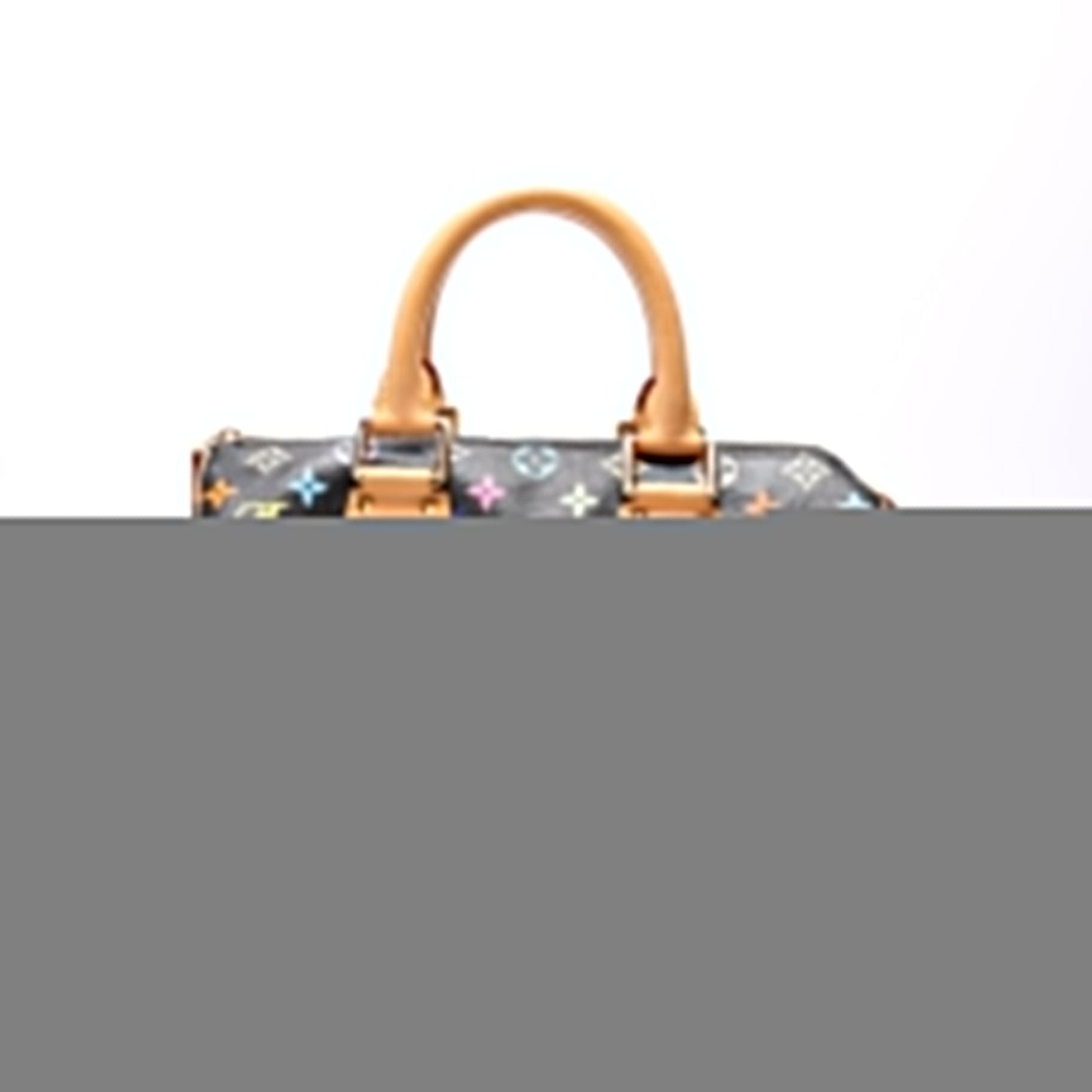 Louis Vuitton Speedy 30 Multicolor