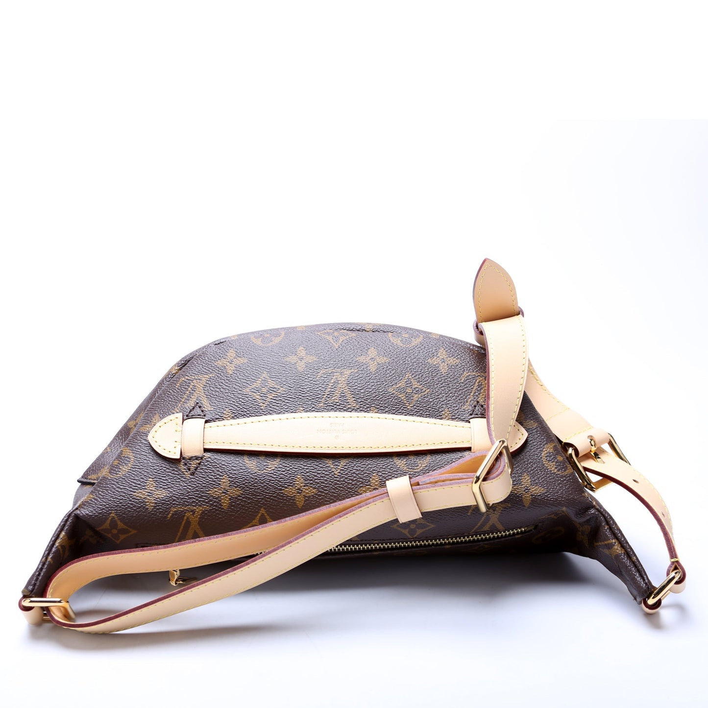Louis Vuitton Bumbag Monogram
