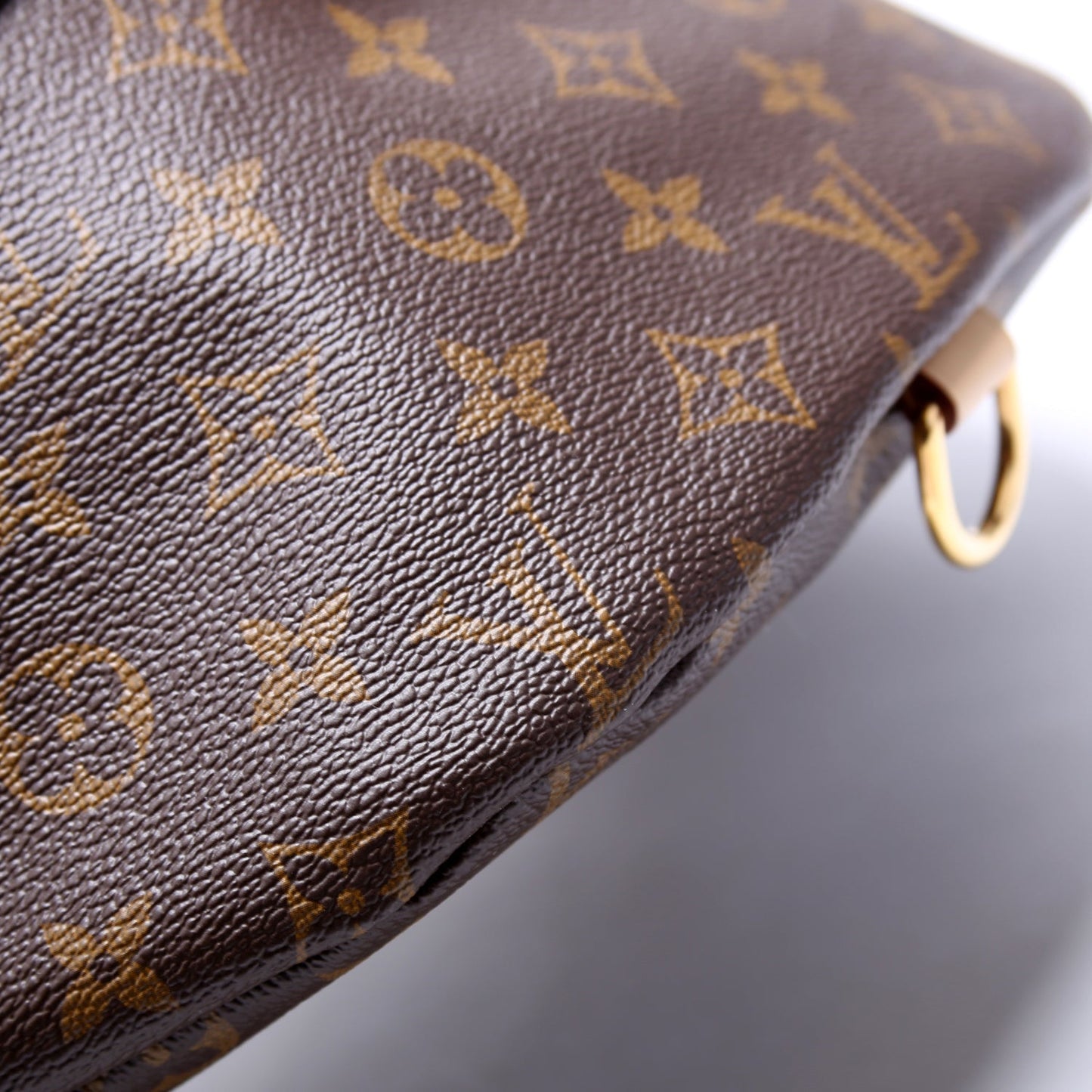Louis Vuitton Bumbag Monogram