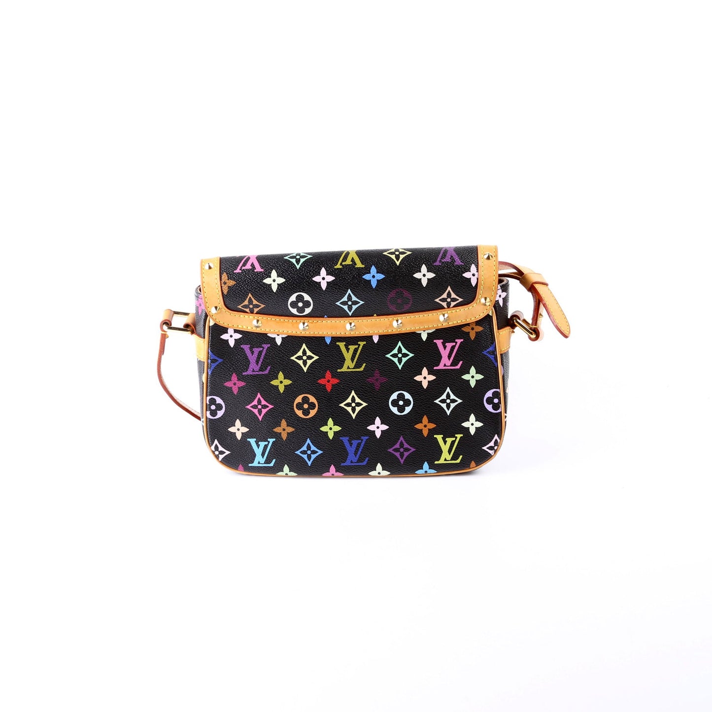 Louis Vuitton Sologne Multicolor Monogram