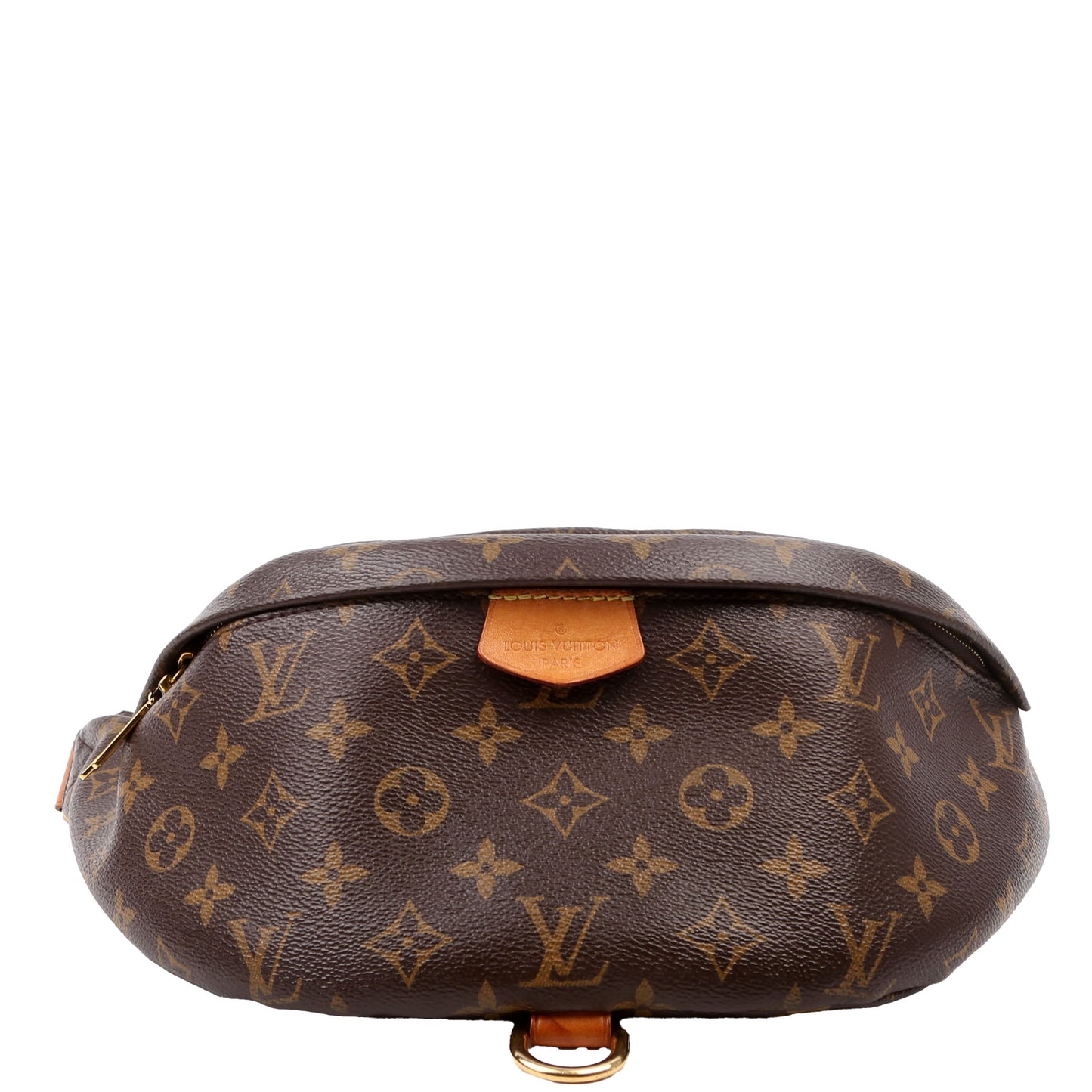 Louis Vuitton Bumbag Monogram