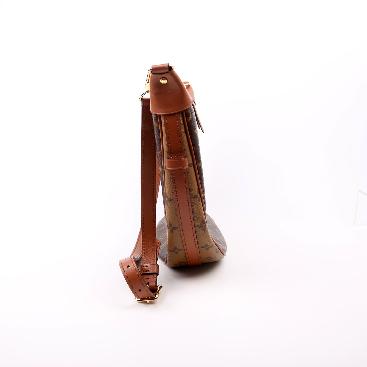 Louis Vuitton Loop Hobo Reverse Monogram