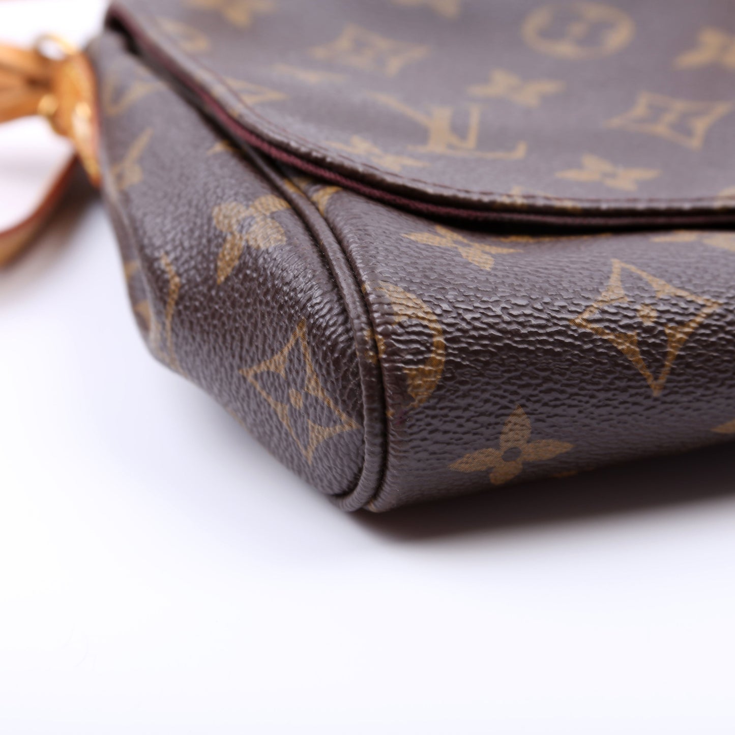 Louis Vuitton Favorite MM Monogram