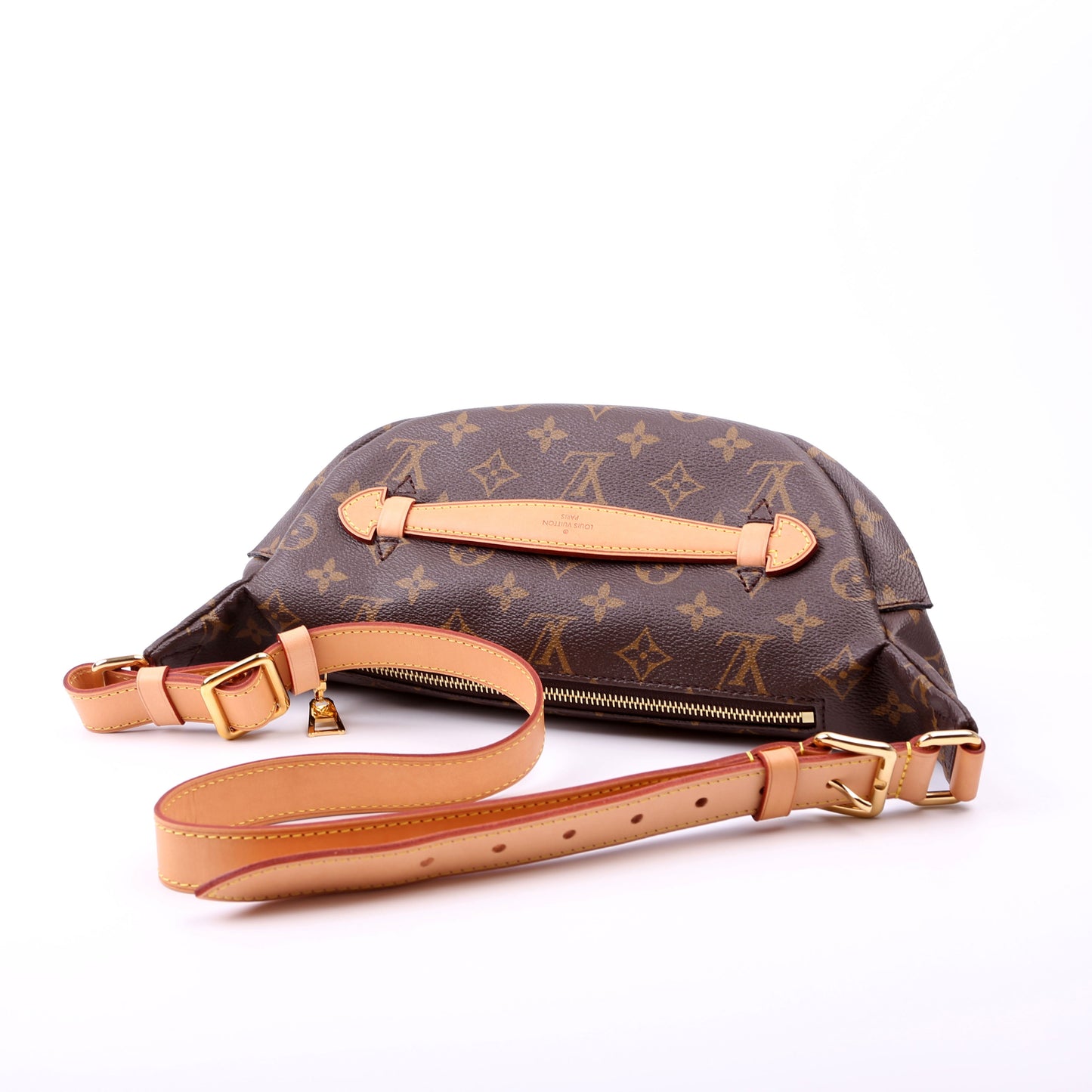 Louis Vuitton Bumbag Monogram