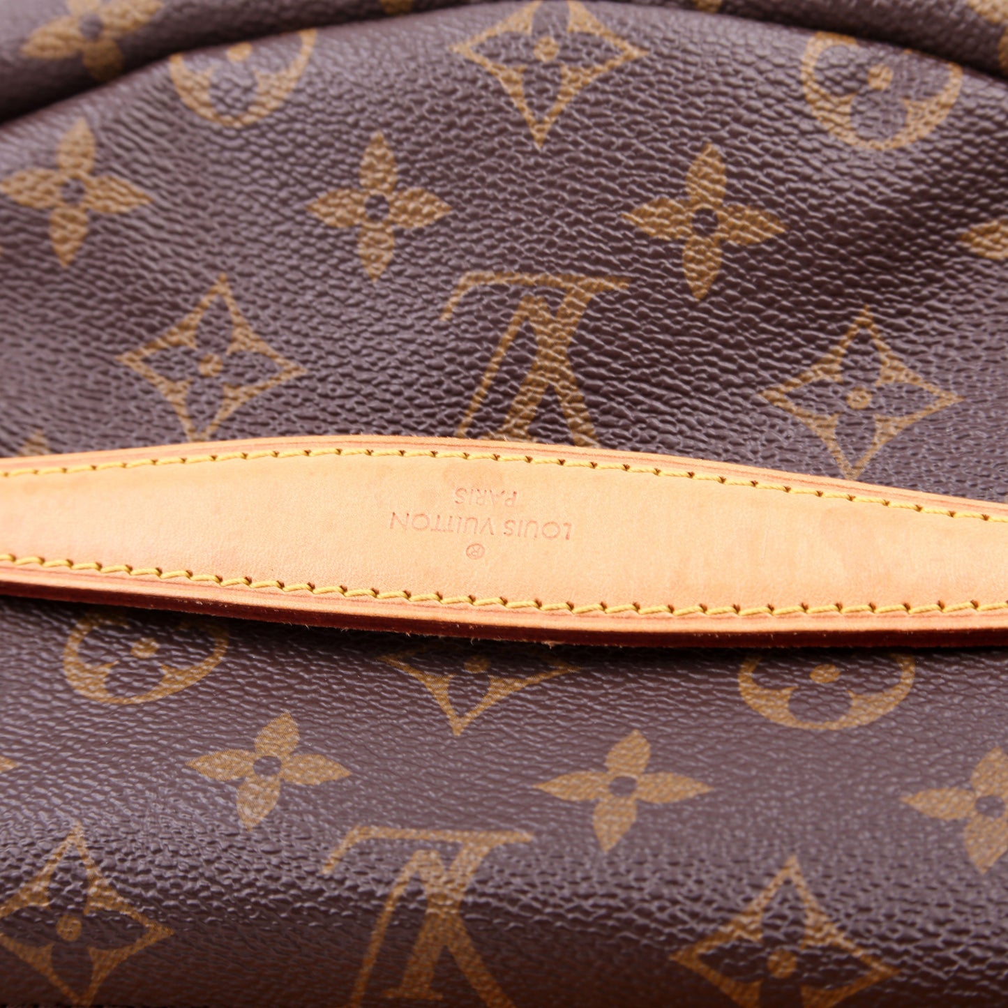 Louis Vuitton Bumbag Monogram