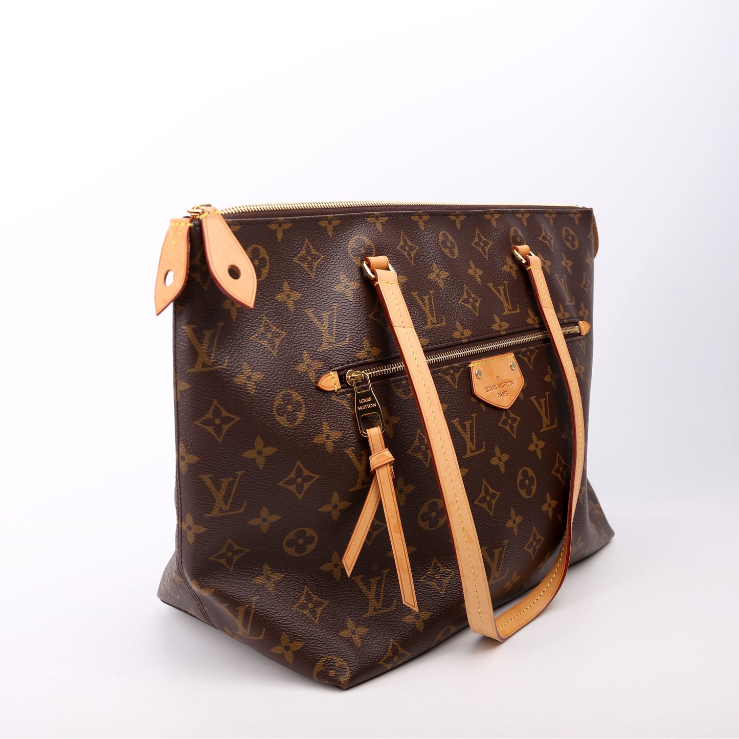 Louis Vuitton Iena MM Monogram