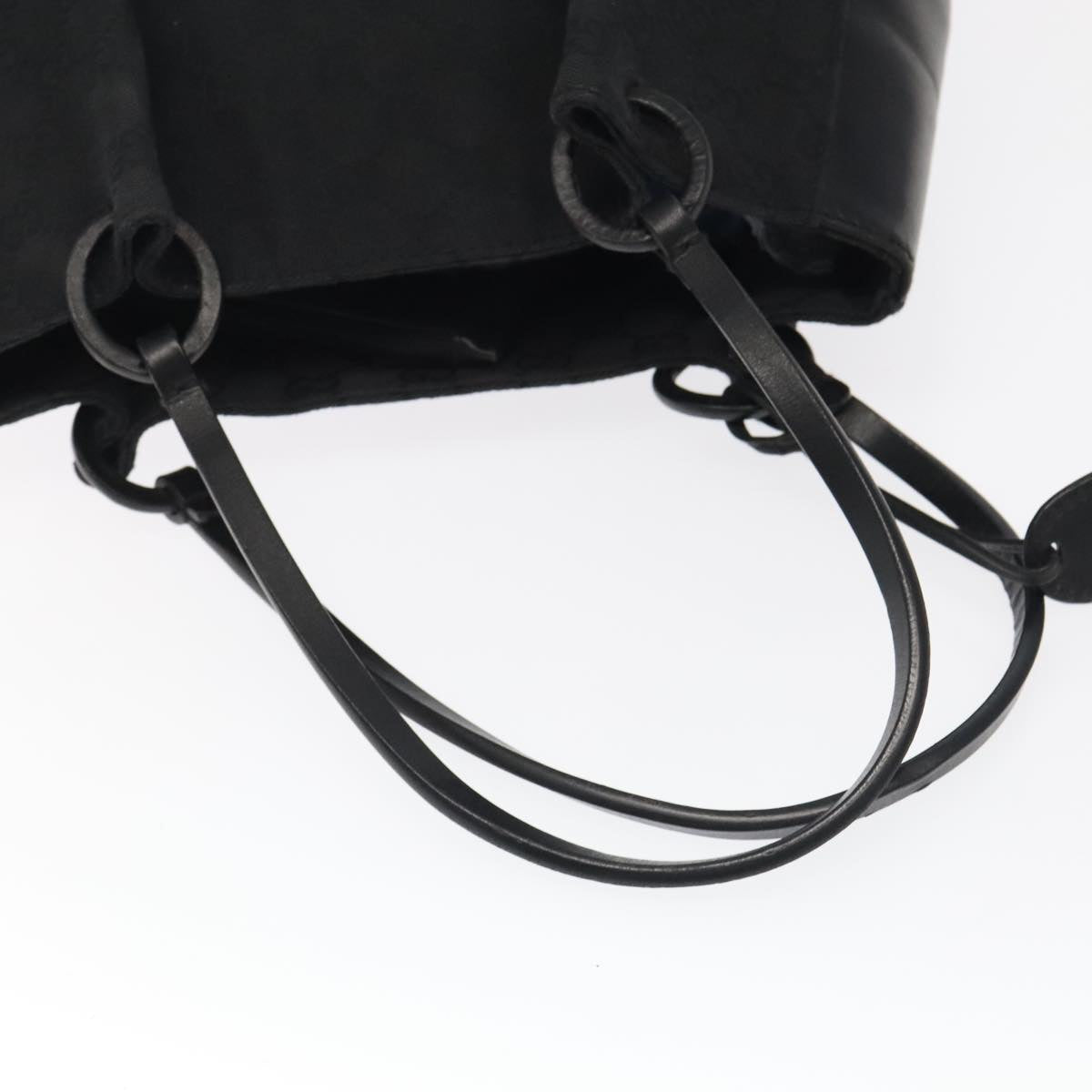 Gucci GG canvas