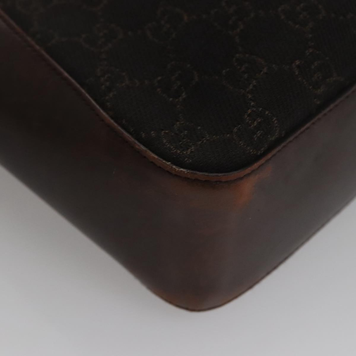 Gucci GG canvas