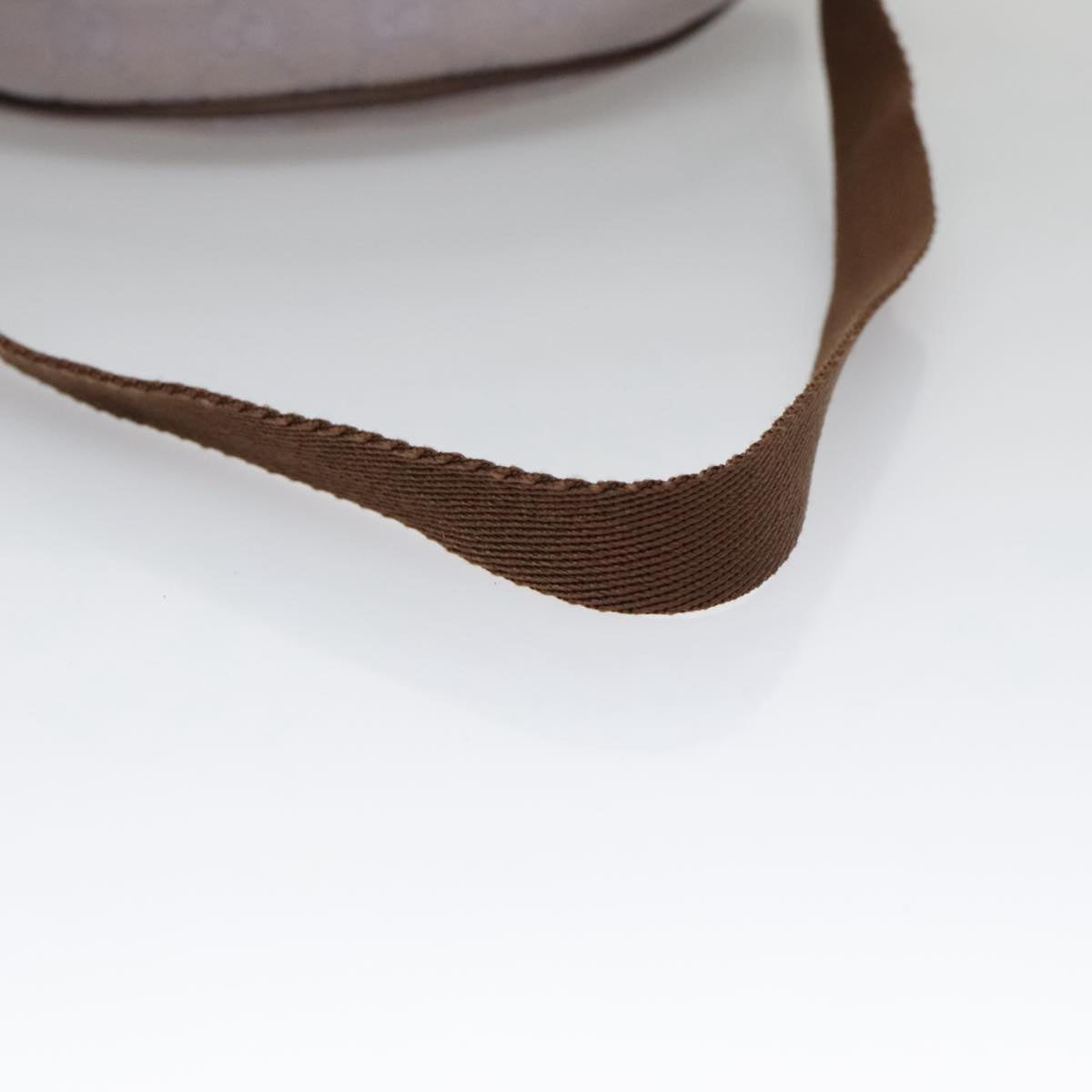 Gucci GG canvas