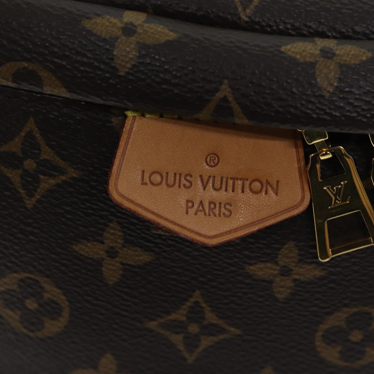 Louis Vuitton Bum bag