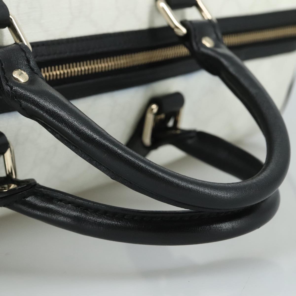 Gucci GG canvas