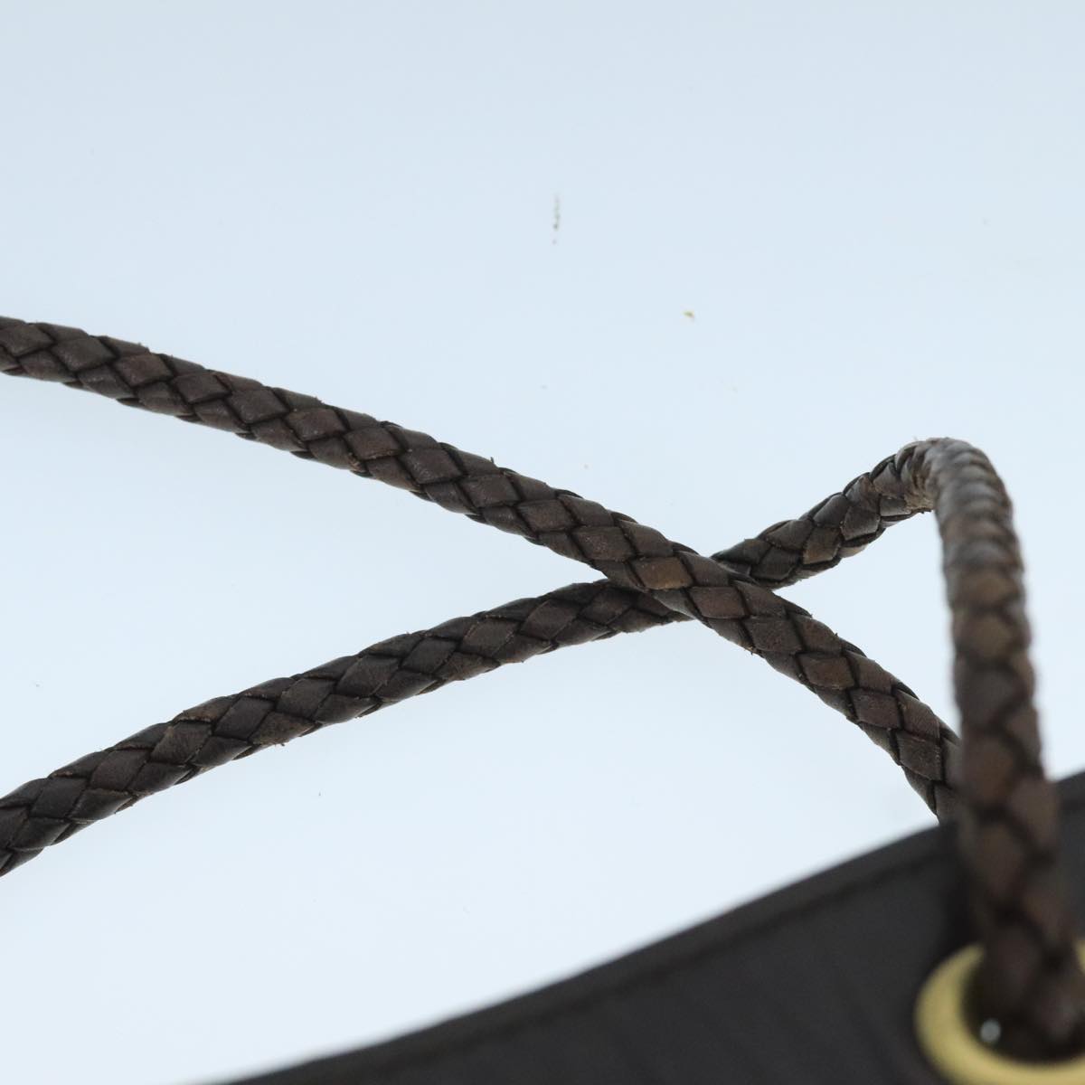 Gucci GG canvas